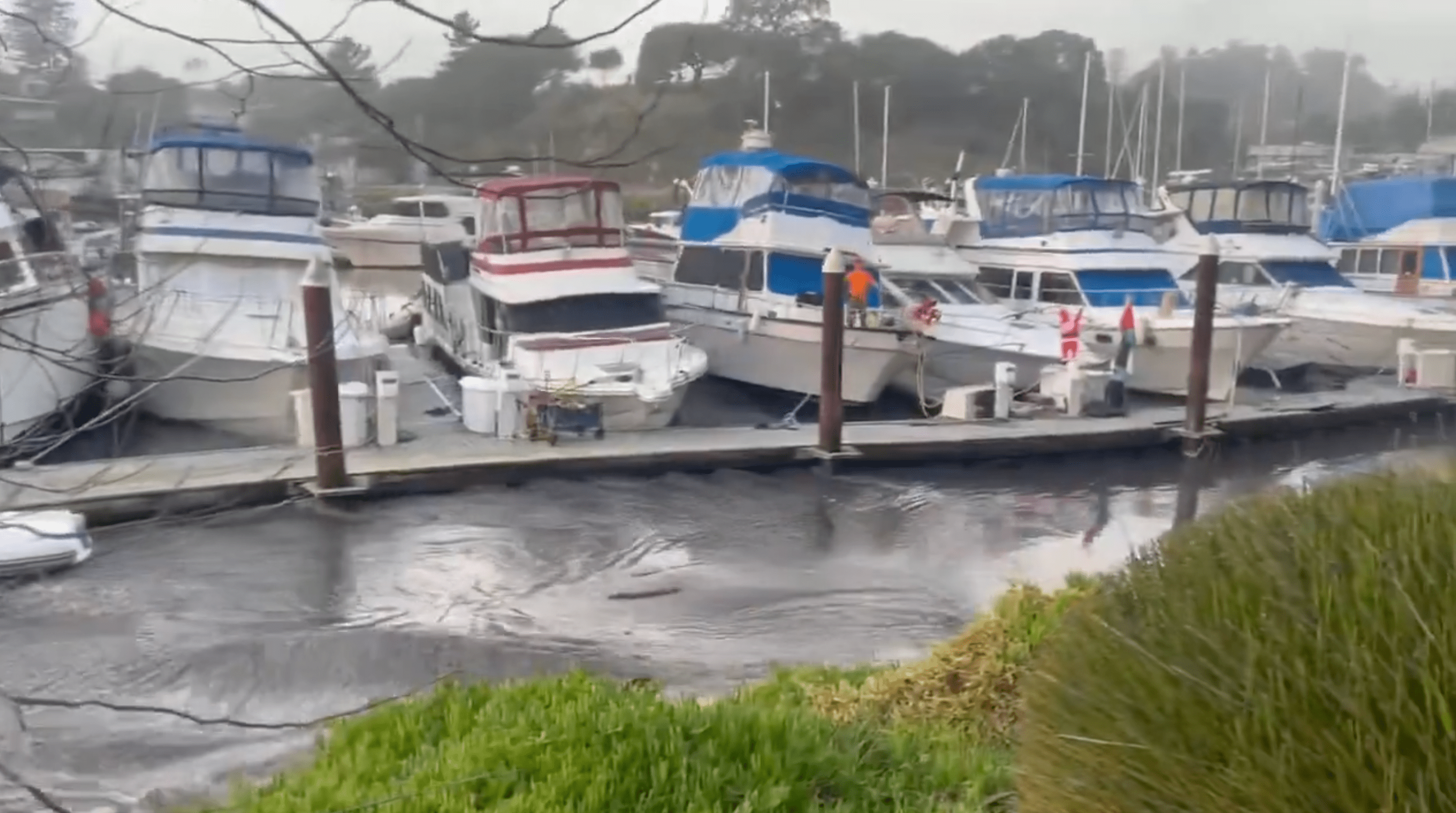 The image shows a marina with several boats docked side by side. The boats have blue and red striped covers. In front, there's green foliage by the water.