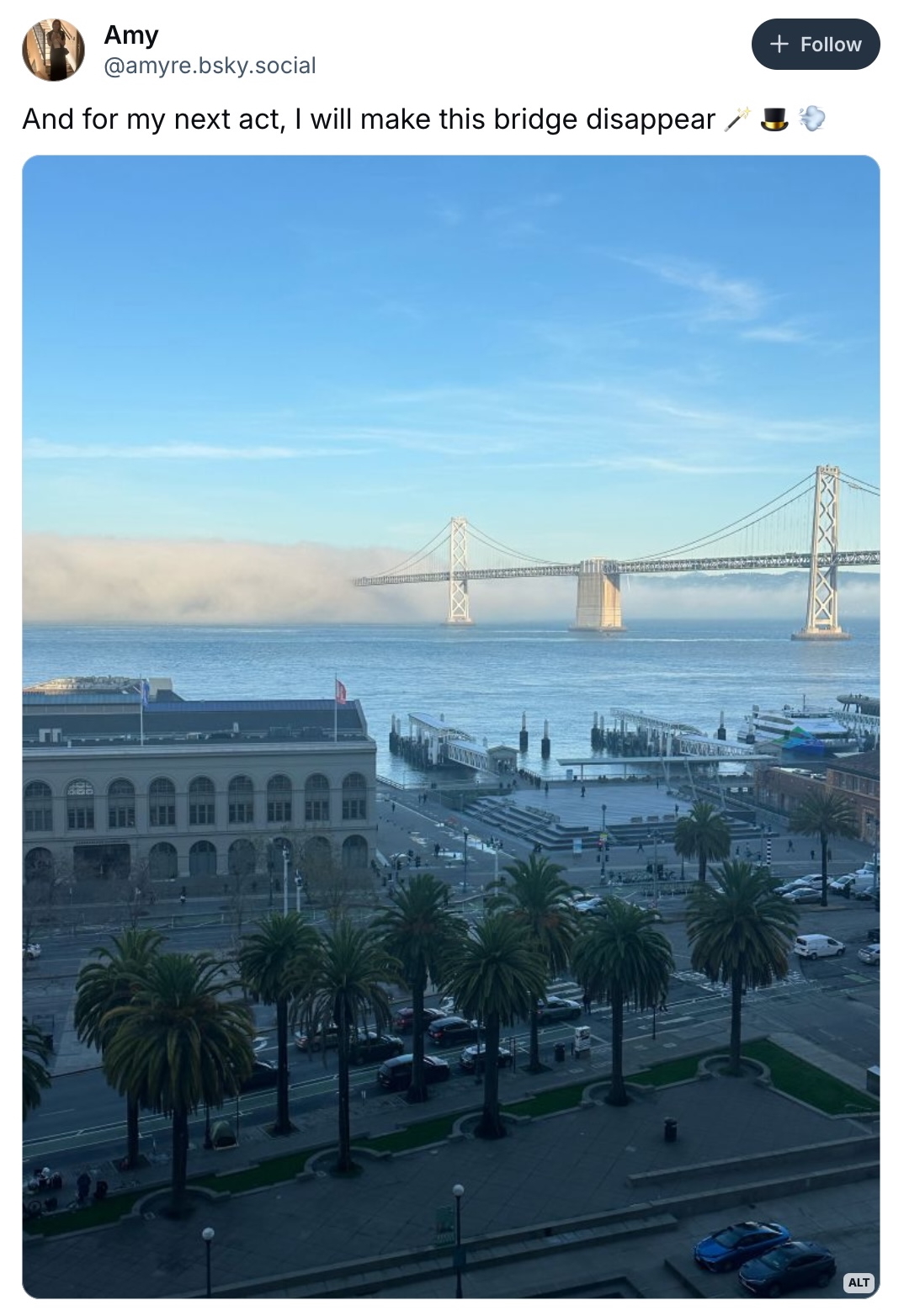 A bridge spans across water into the fog, with a cityscape in the foreground featuring palm trees and a large building under a clear blue sky.