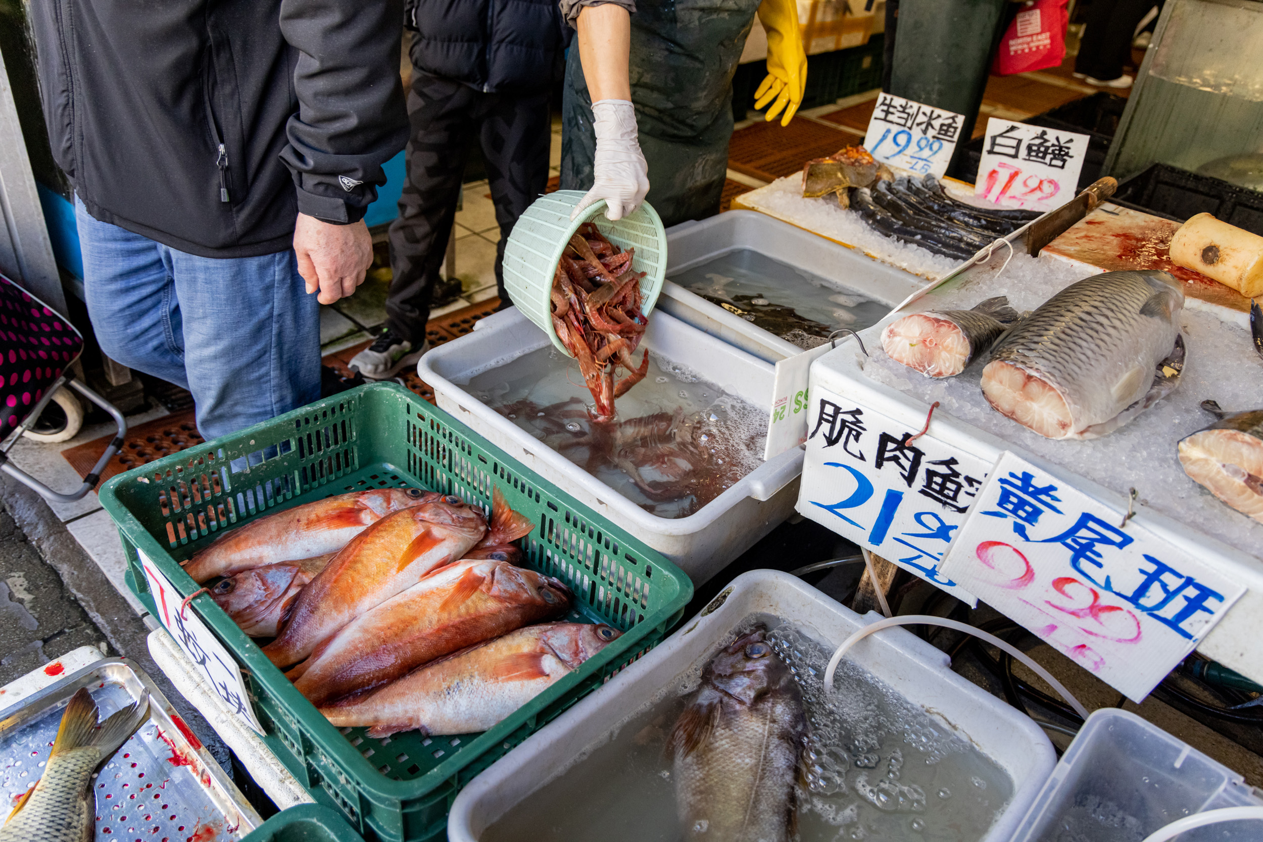 A fish market scene shows a variety of fresh fish in baskets and trays, with one person pouring shrimp into a container. There are handwritten price signs in Chinese.