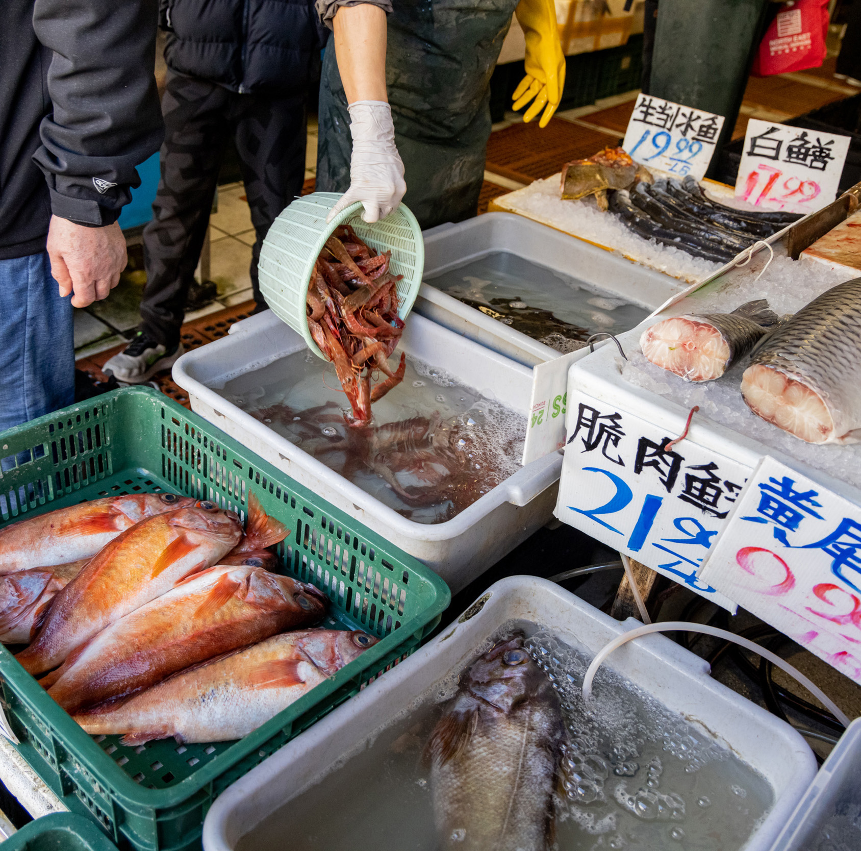 A fish market display shows fresh fish in baskets and trays filled with water. A person pours shrimp into a tray, with price tags visible in the background.