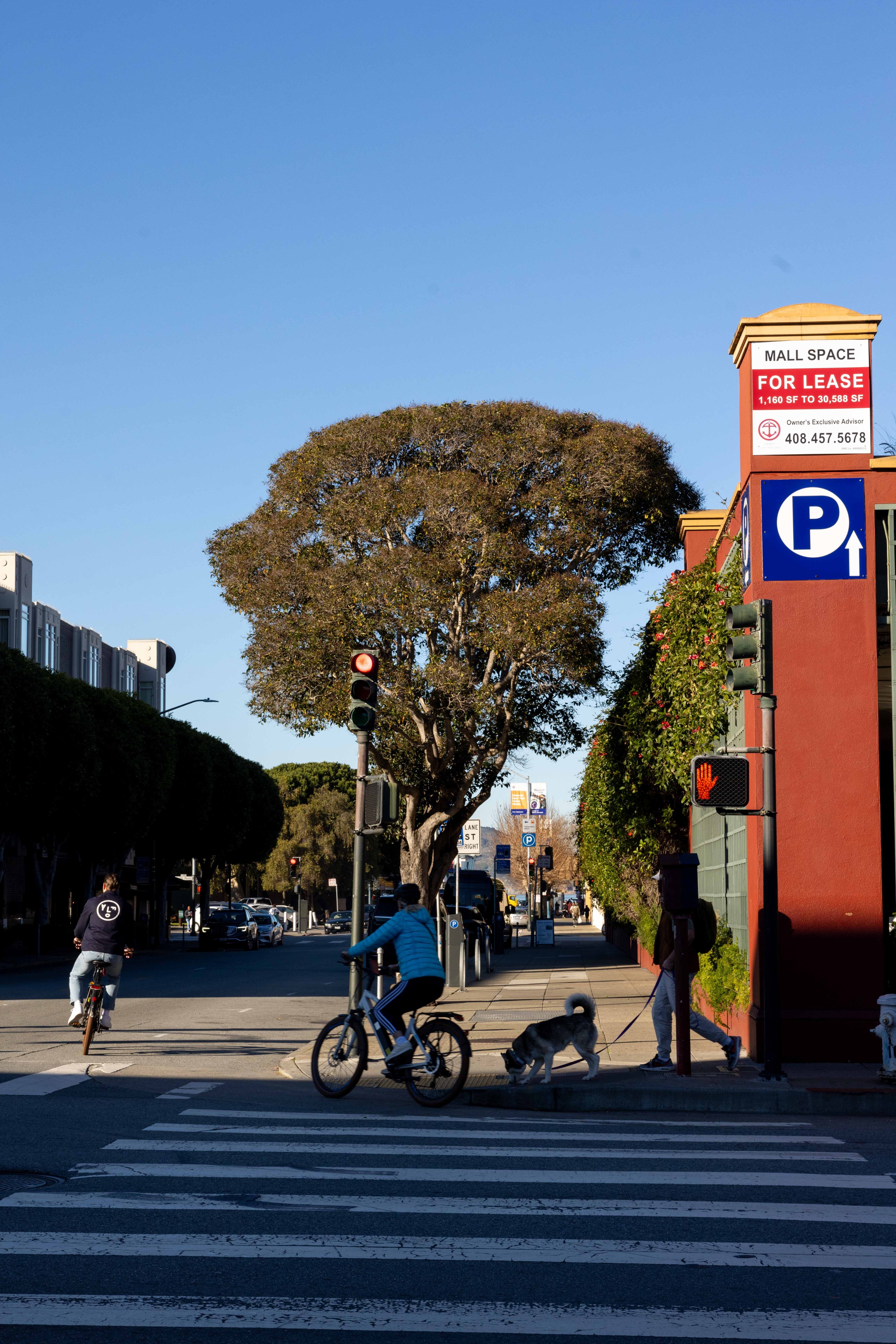 A street scene shows a cyclist crossing, a person walking a dog, and a red traffic light. There's a &quot;For Lease&quot; sign on a building with clear blue sky.