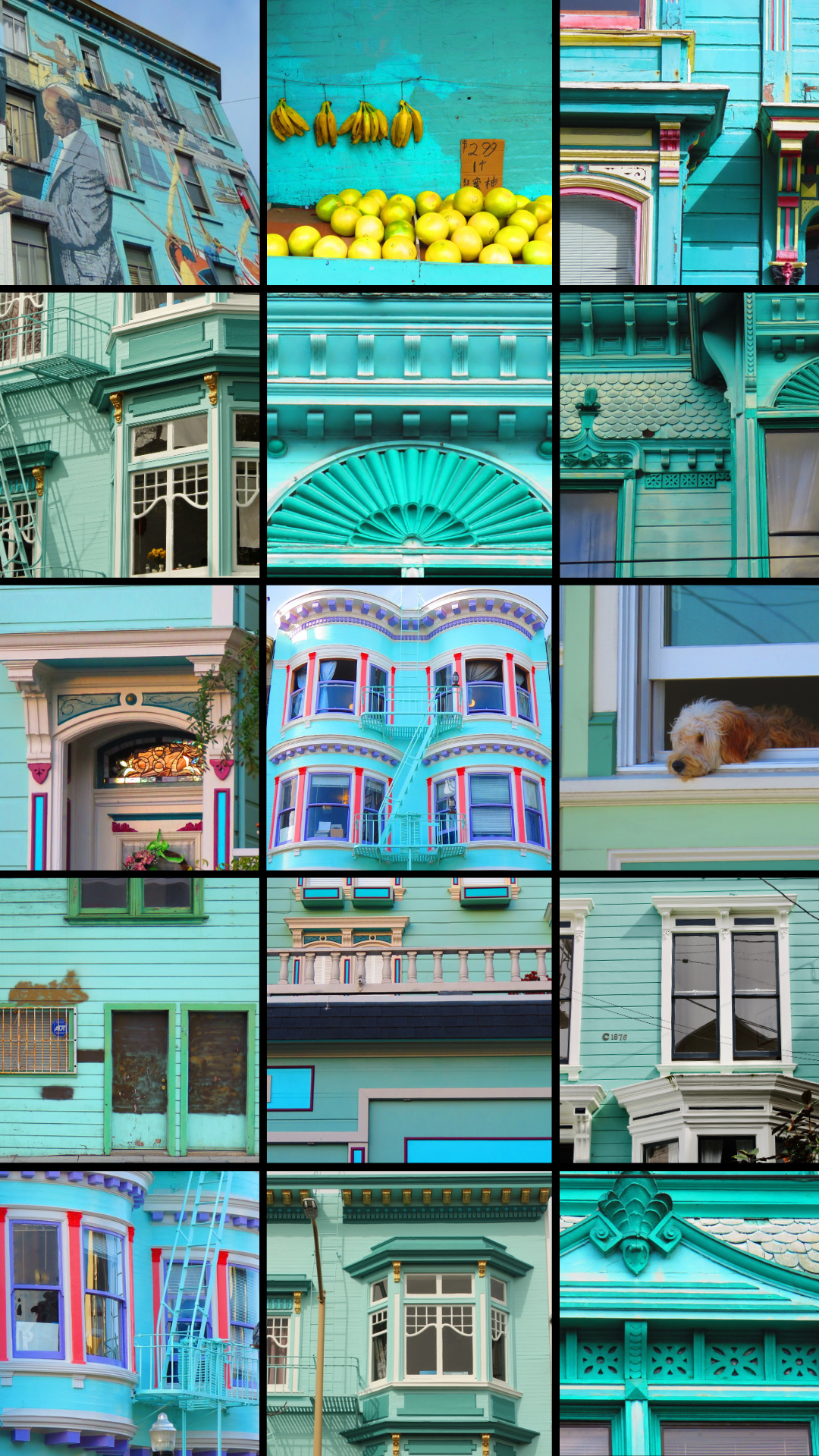 The collage showcases vibrant turquoise buildings with intricate details and colorful accents. There's a mural, bananas, lemons, and a dog in a window.