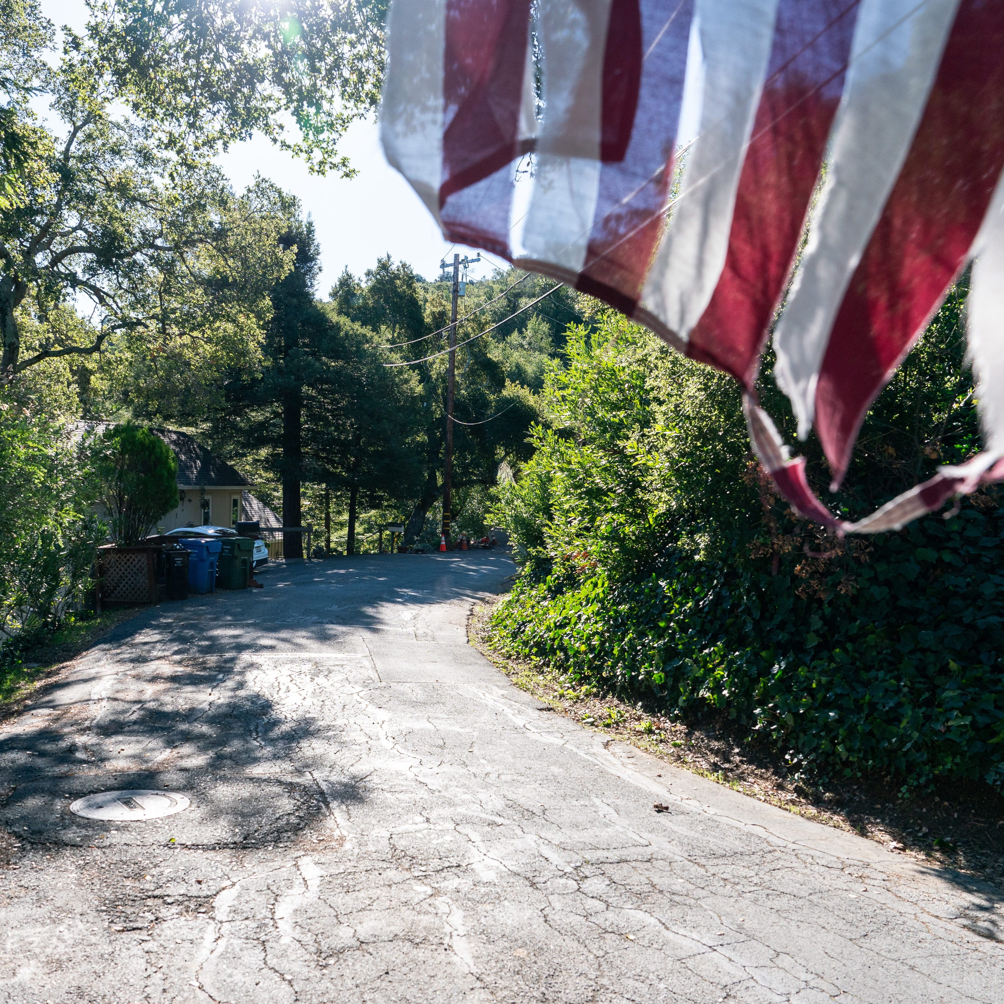 A winding road surrounded by lush greenery is lit by sunlight. An American flag flutters in the foreground. A house and some waste bins are visible.