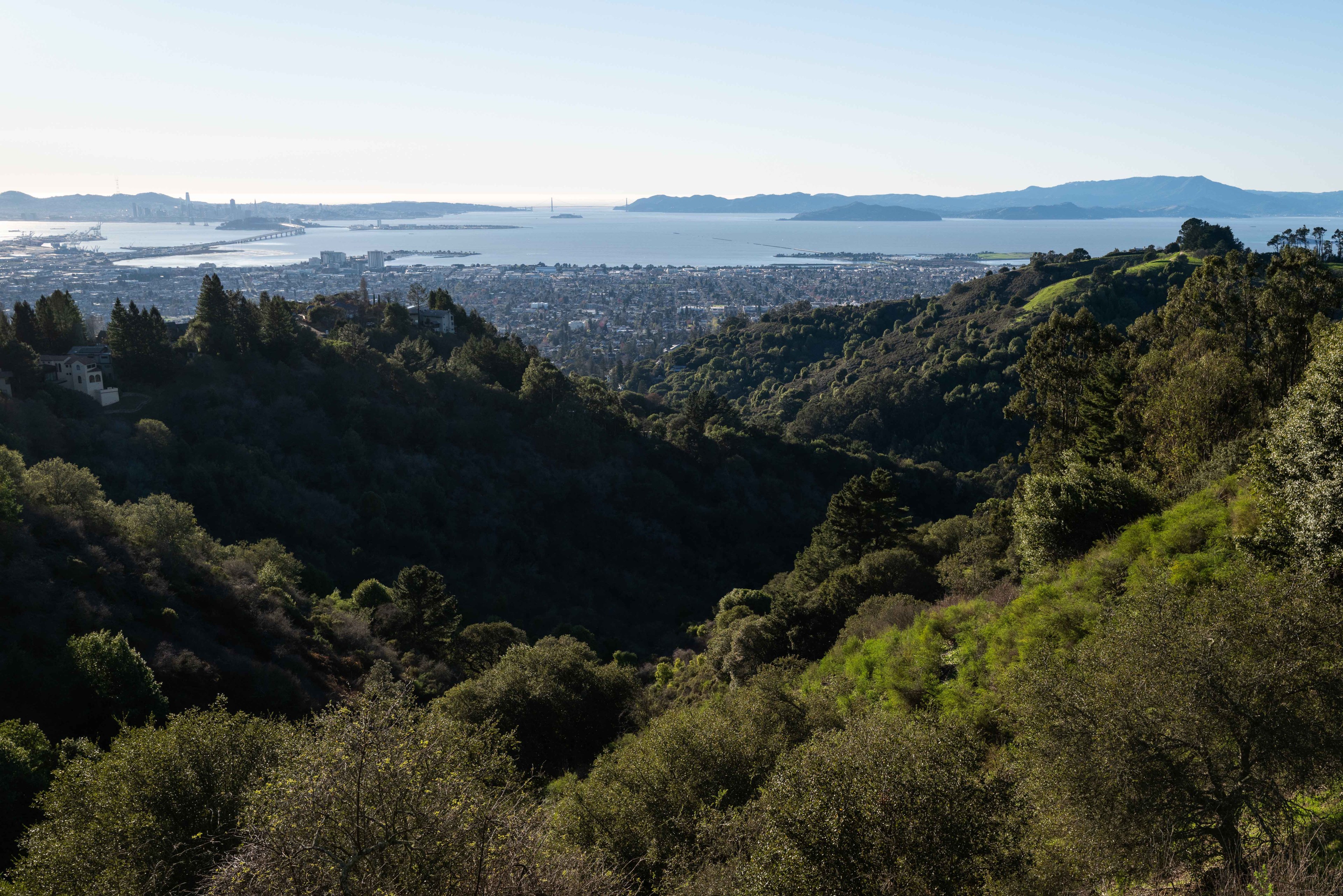 The image shows a lush, green hillside with dense trees, leading to a cityscape and a large bay in the distance, with mountains on the horizon.