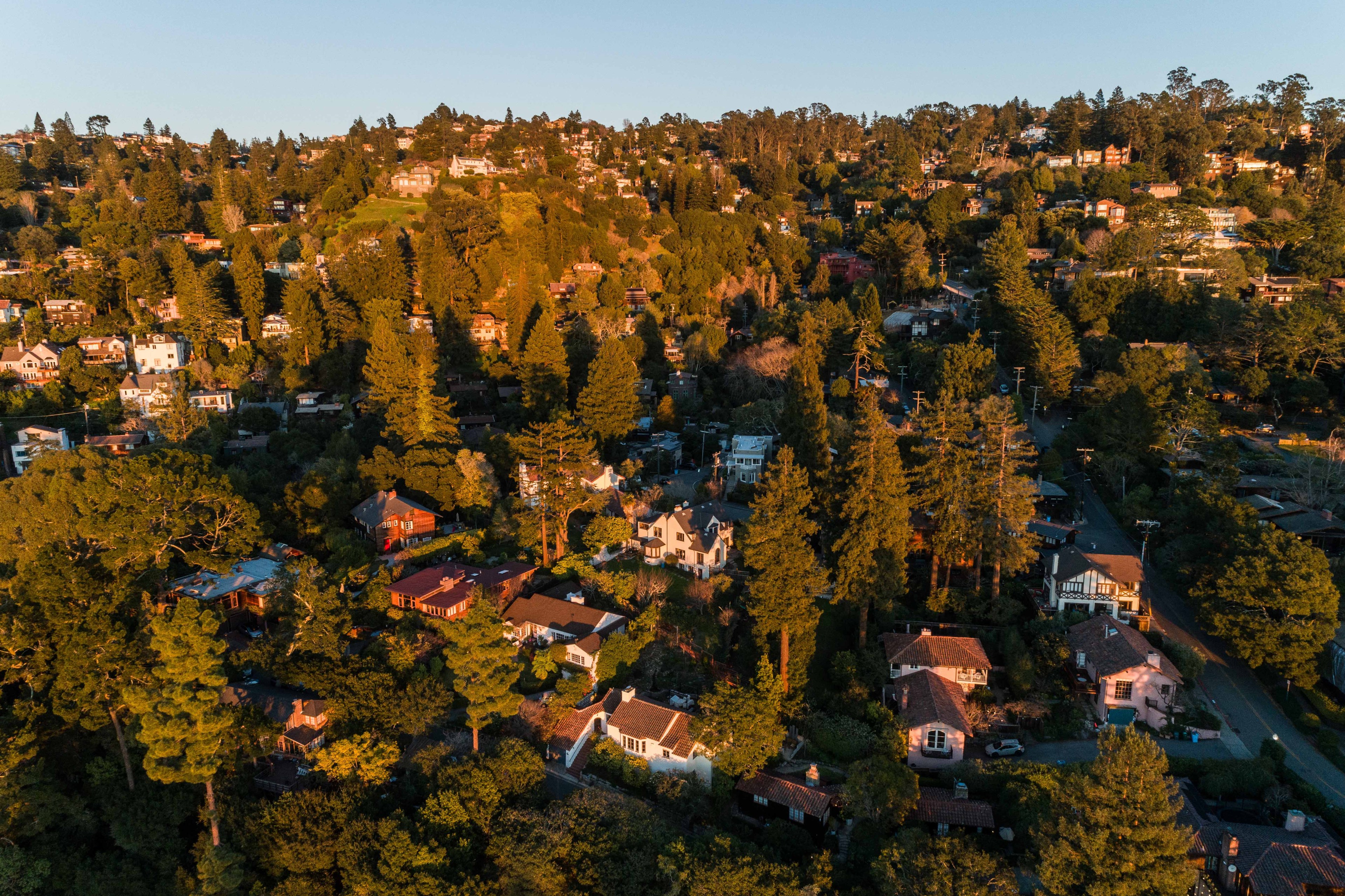 Aerial view of a hillside neighborhood with densely packed houses nestled among tall trees, bathed in warm sunlight, creating a serene, verdant setting.