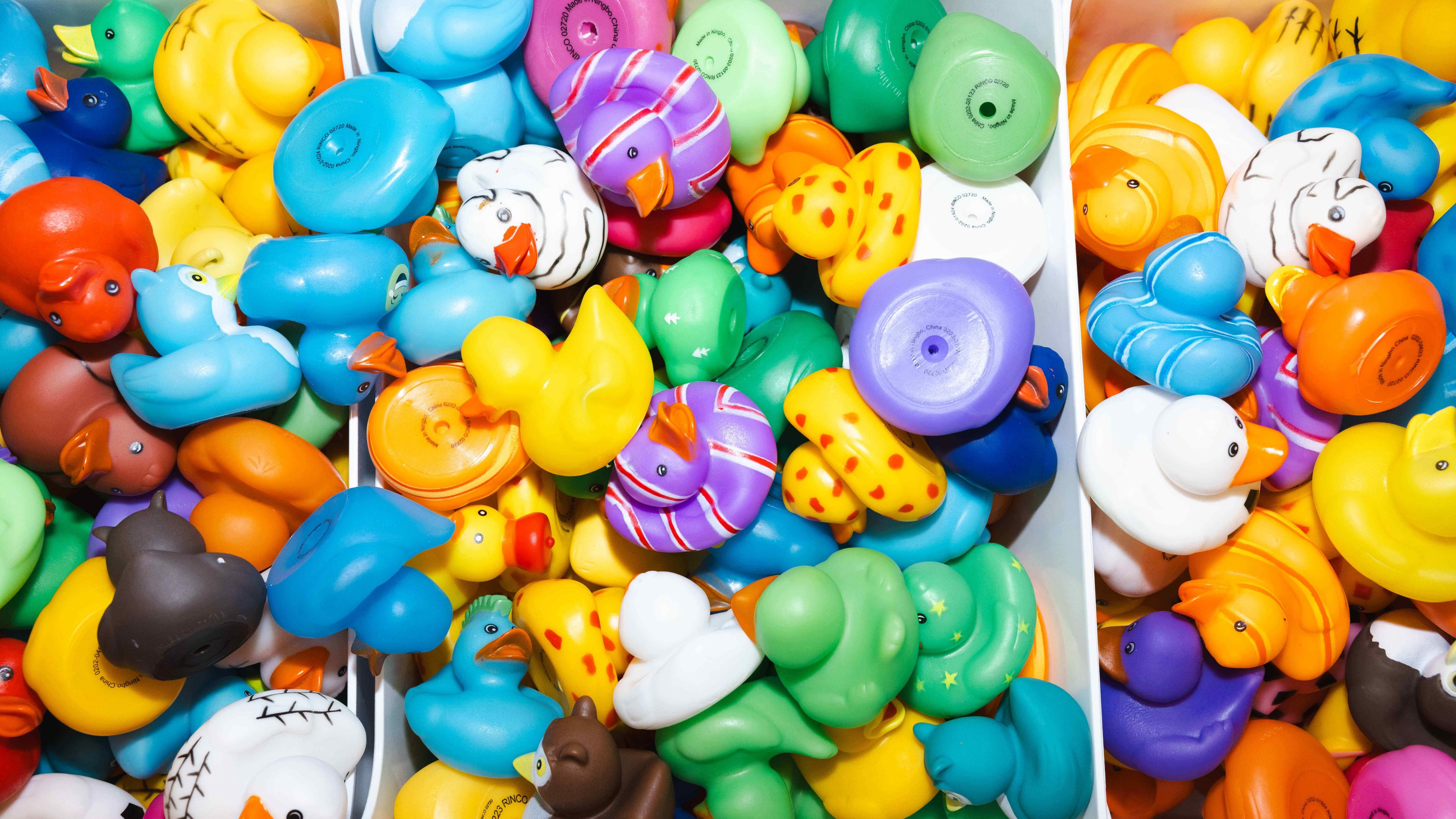 The image shows a colorful assortment of rubber ducks. They come in various bright colors and patterns, filling up several divided sections of a container.