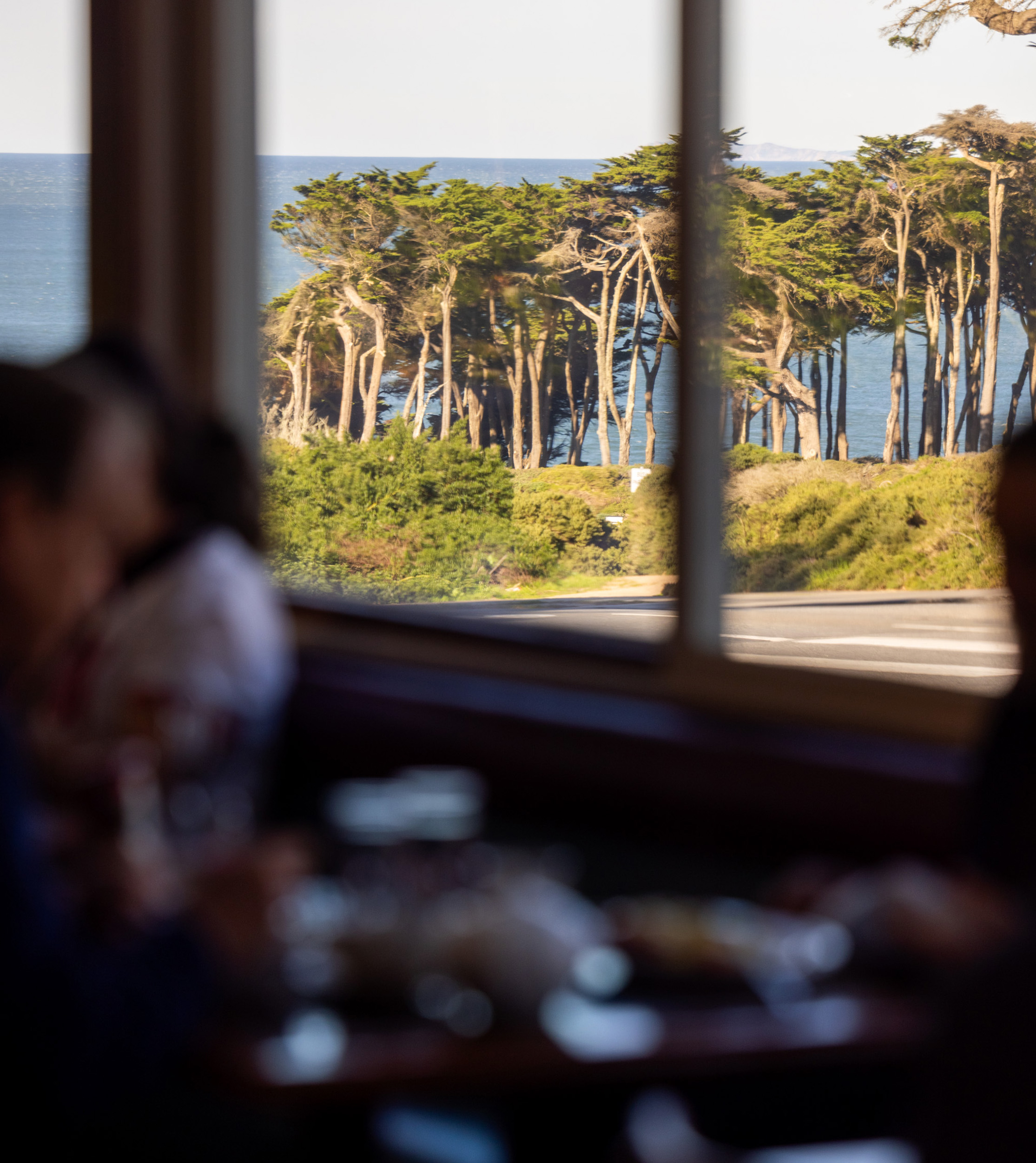 A view through a window shows tall, slender trees with a backdrop of the ocean. Inside, blurred figures and a table suggest a café or restaurant setting.