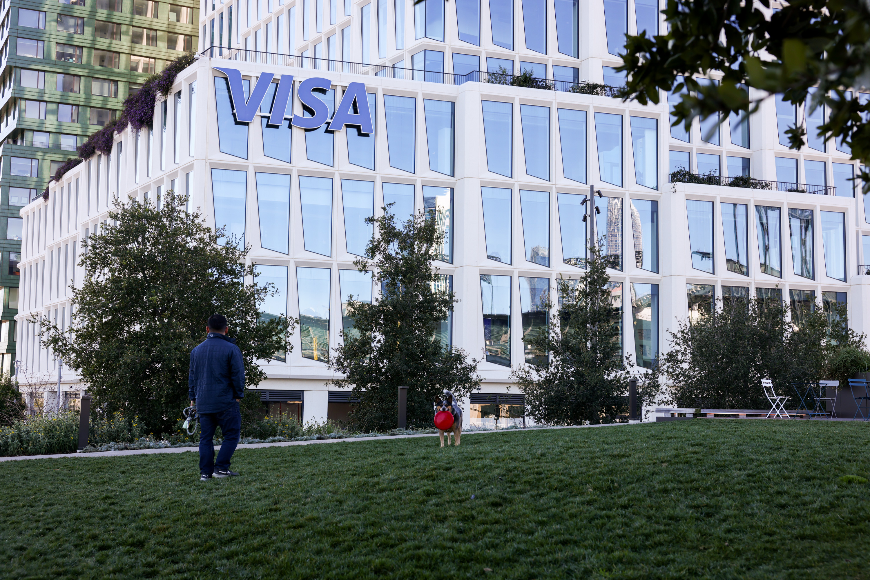 A person walks a dog with a red ball near a modern building with large windows and the word &quot;Visa&quot; on it, surrounded by trees and grass.