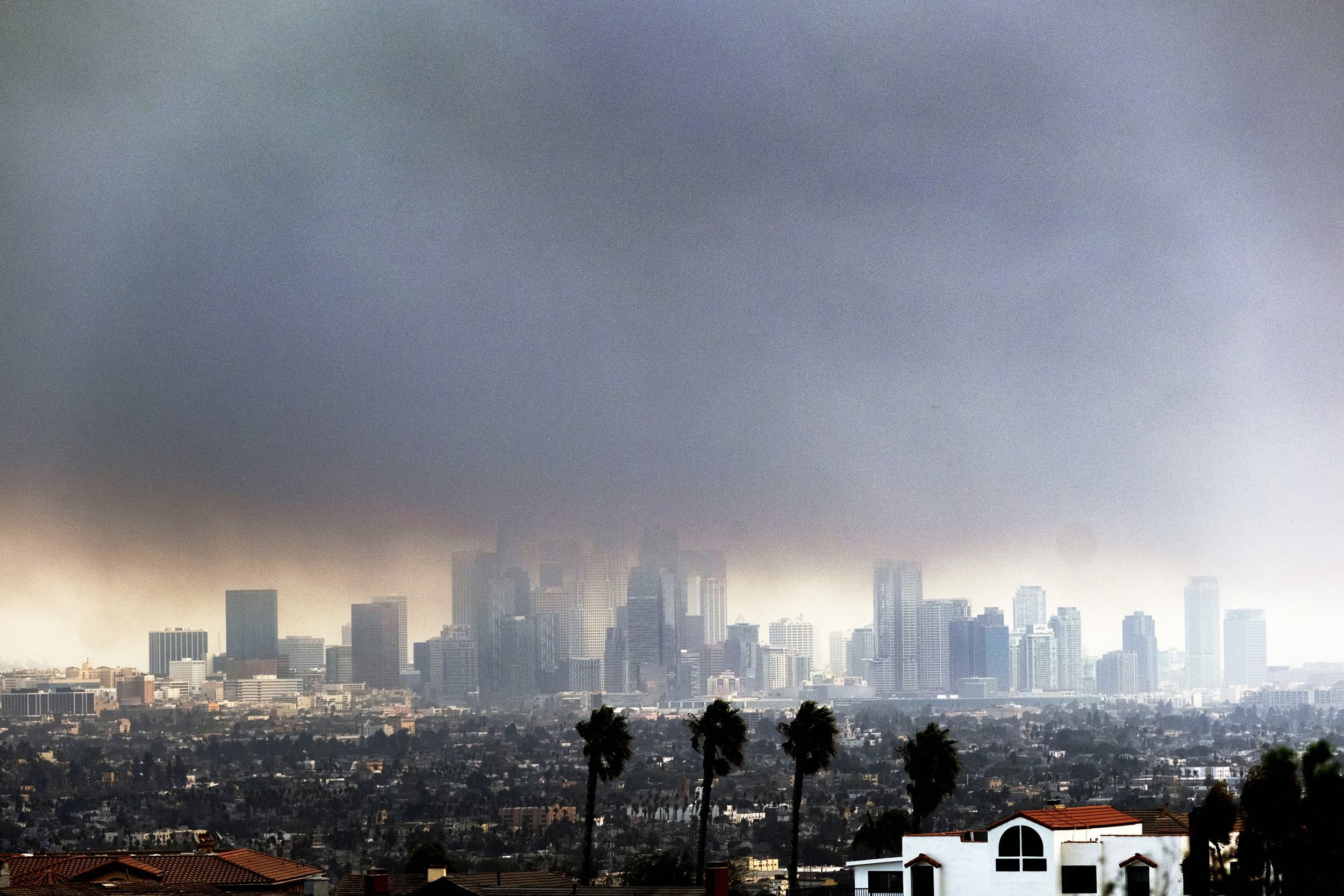 A city skyline under a menacing, grey sky. Palm trees and buildings in the foreground contrast against the towering, shadowy skyscrapers in the distance.