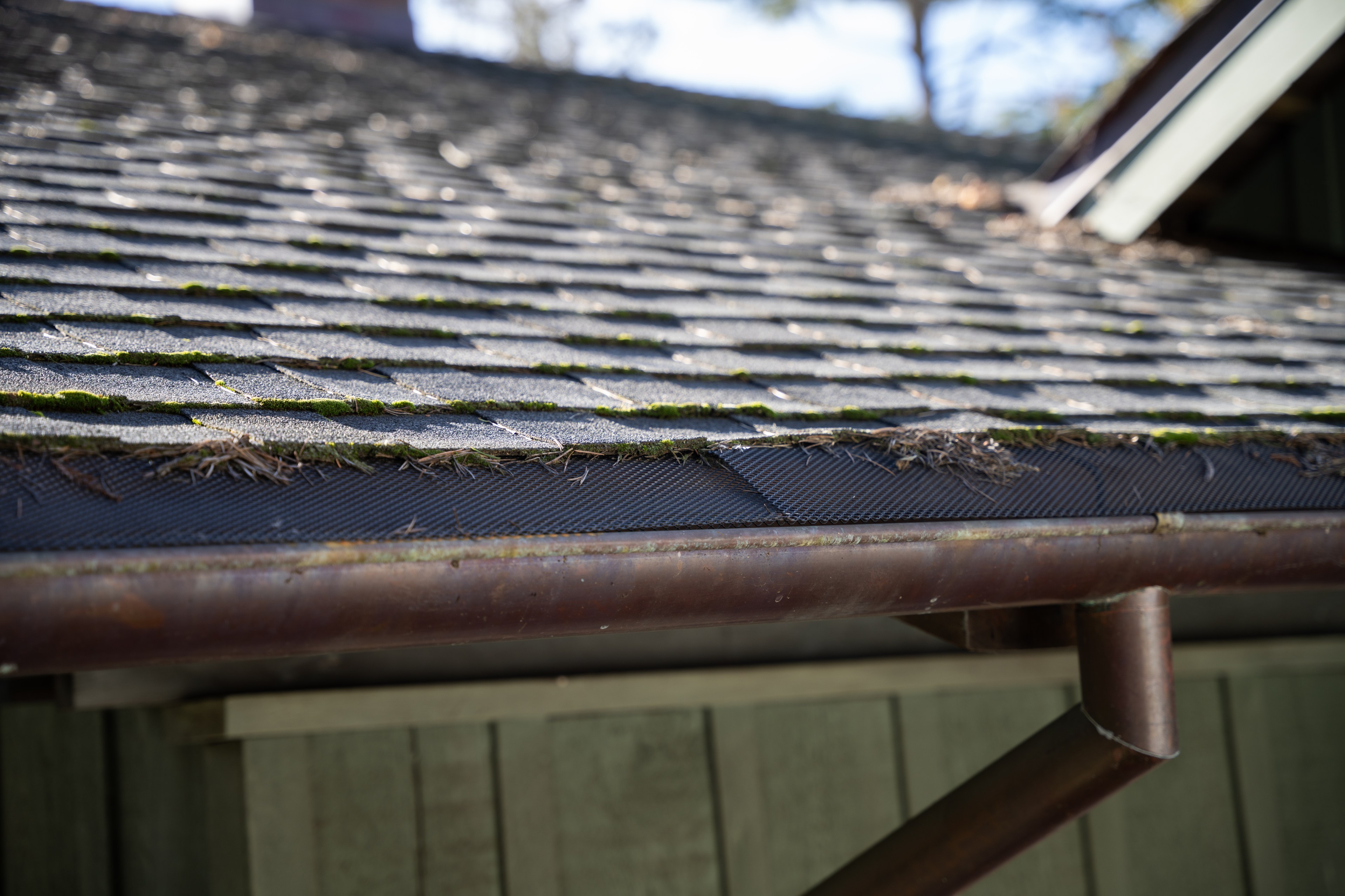 The image shows a roof with asphalt shingles, some of which have moss growing on them. A metal gutter underneath is visible, with pine needles scattered around.