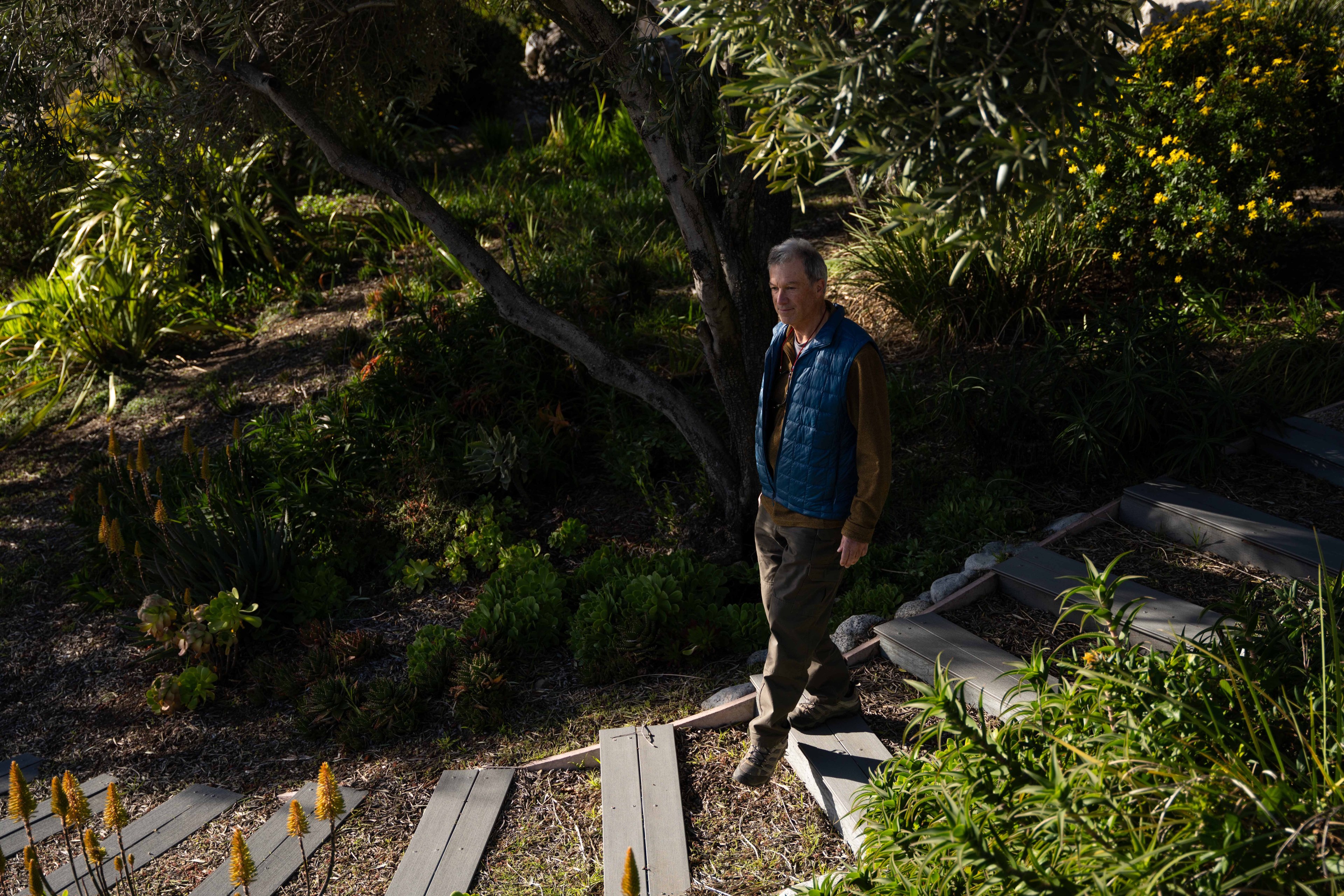 A man in a blue vest walks on a garden path surrounded by lush greenery and yellow flowers. The scene is shaded by a tree, and sunlight filters through.