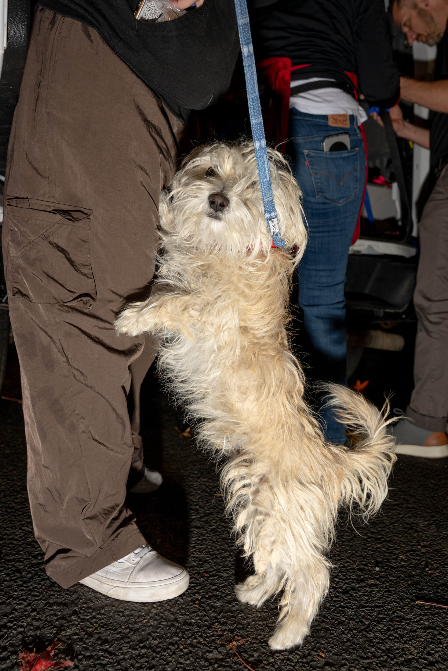 A fluffy tan dog joyfully stands on its hind legs, leaning against a person in brown pants. The scene is outdoors, with two other partially visible people.