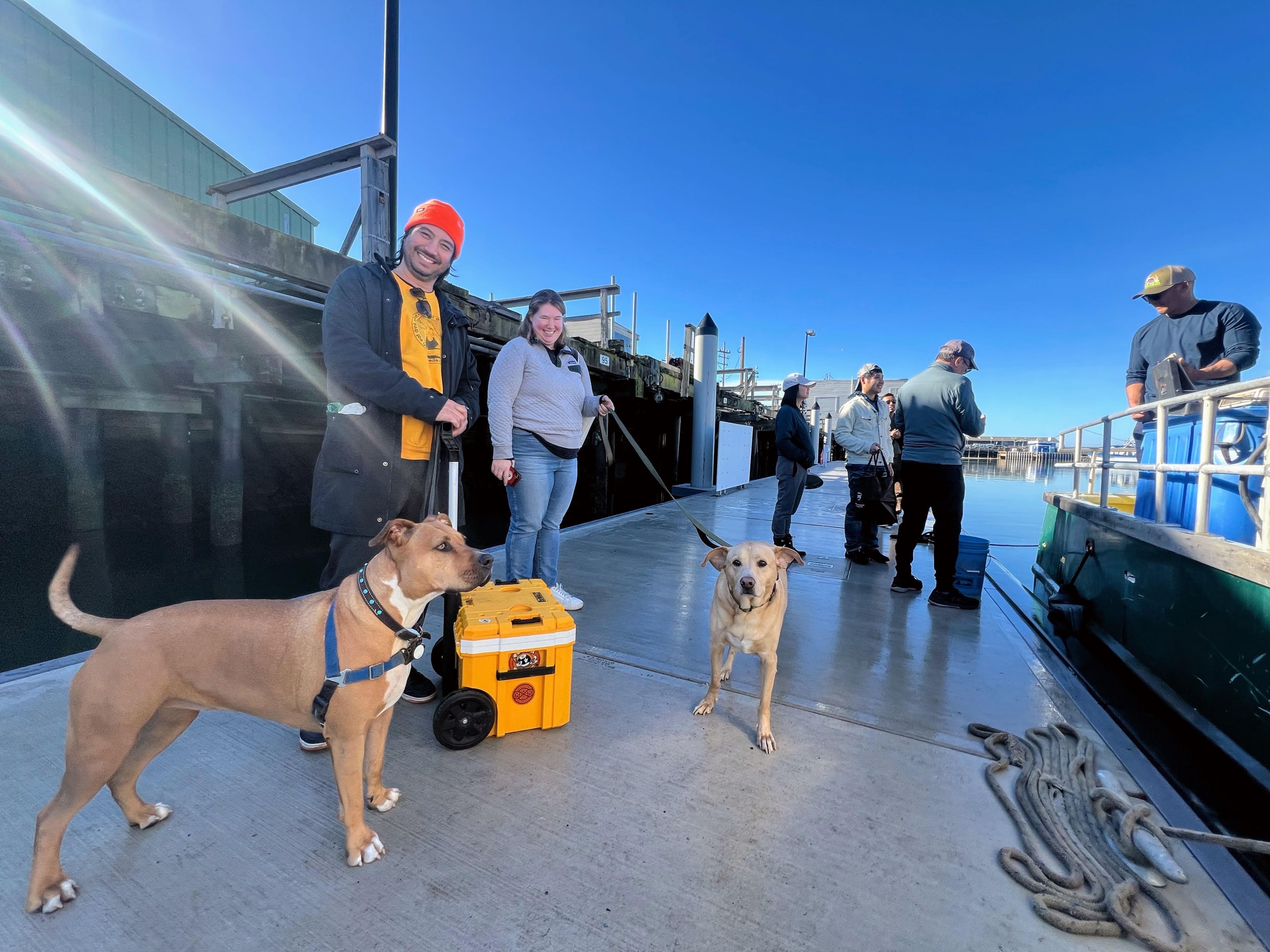 A cheerful group stands on a dock under a clear blue sky. Two dogs on leashes and a bright yellow box with wheels are in the foreground; nearby is a moored boat.