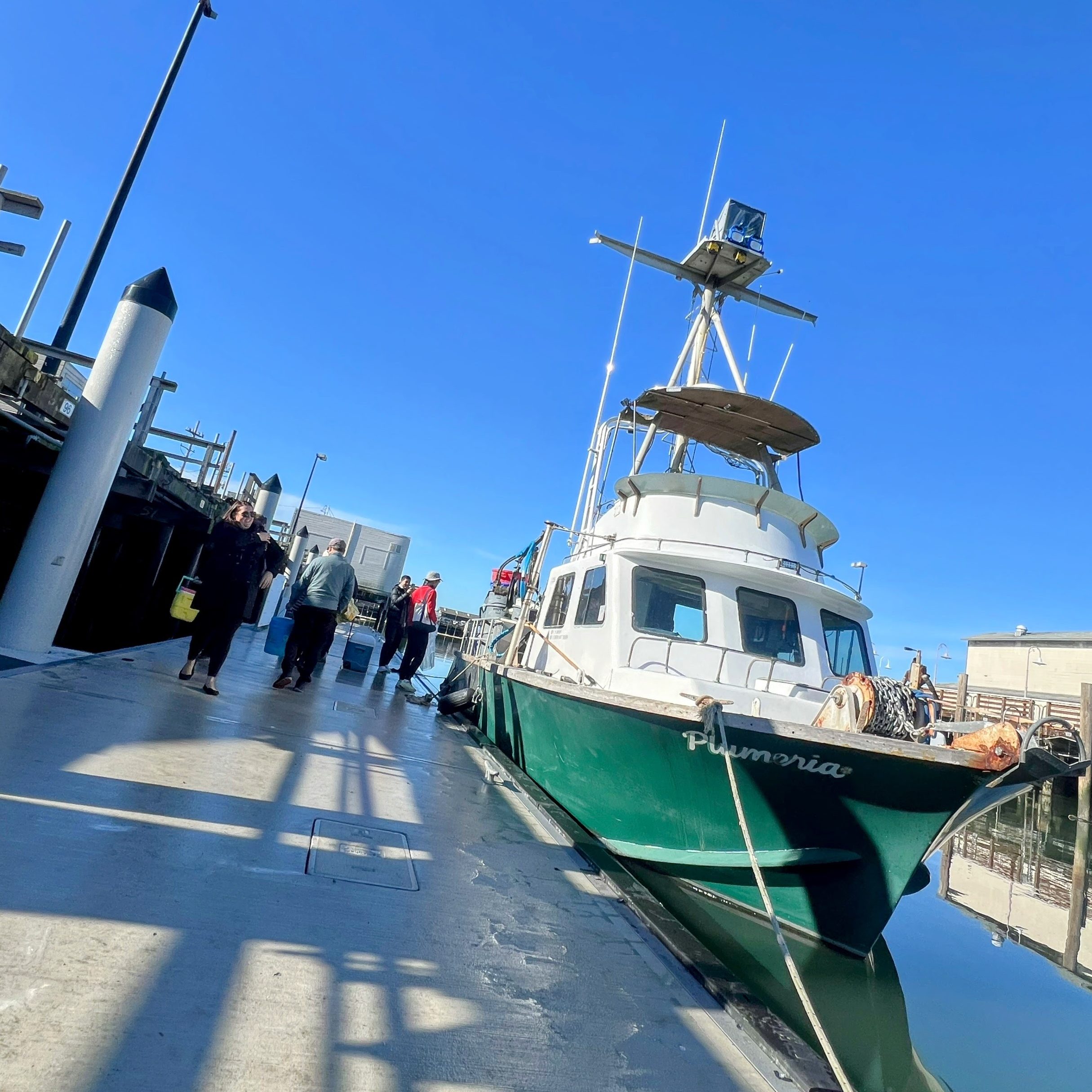 A green and white boat named Plumeria is docked at a marina, with clear blue skies above. Several people are walking along the dock beside it.