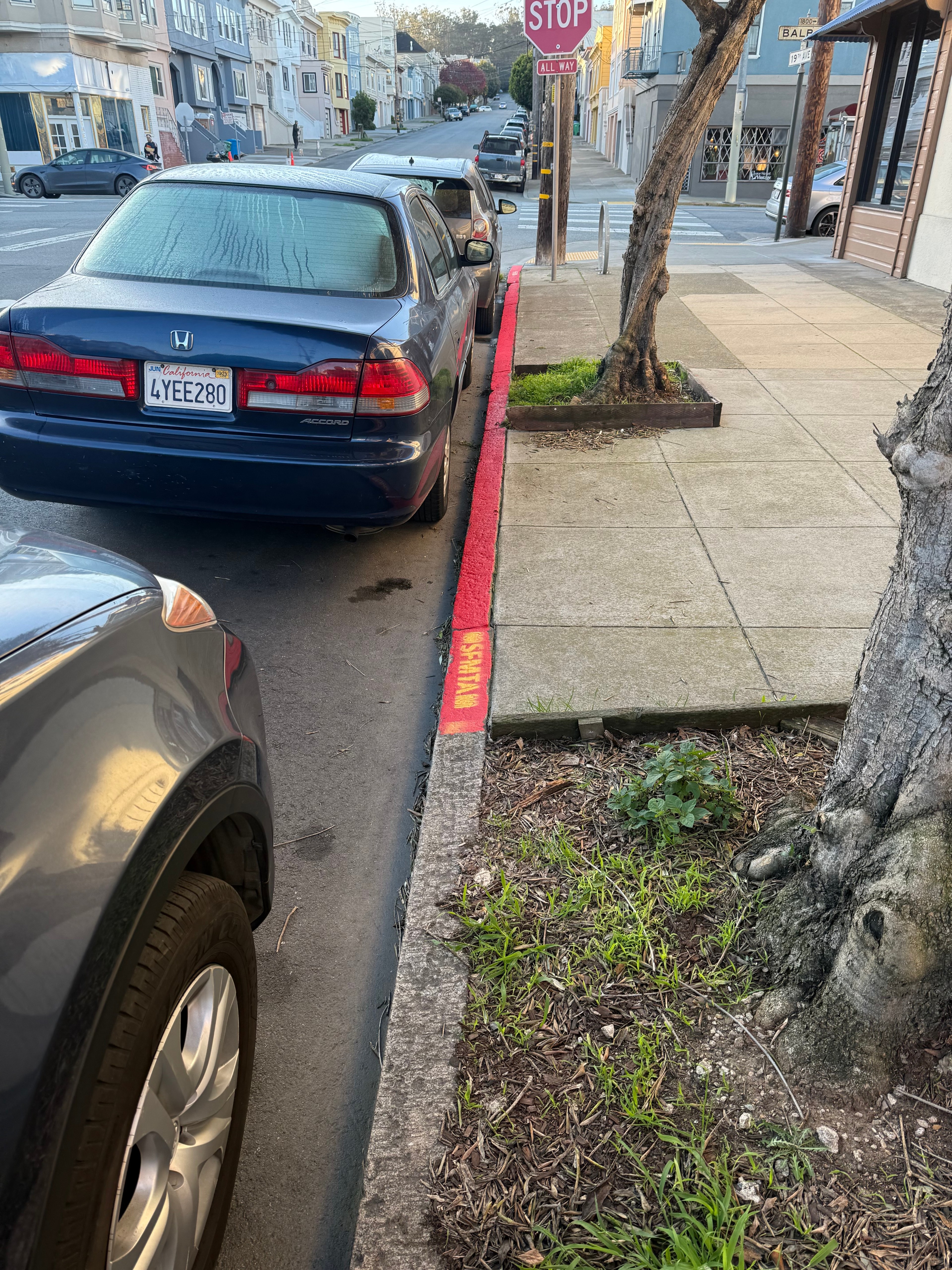 Two cars park by a sidewalk with a tree, next to a red-painted curb labeled &quot;FIRE ZONE.&quot; A stop sign is visible at the intersection.