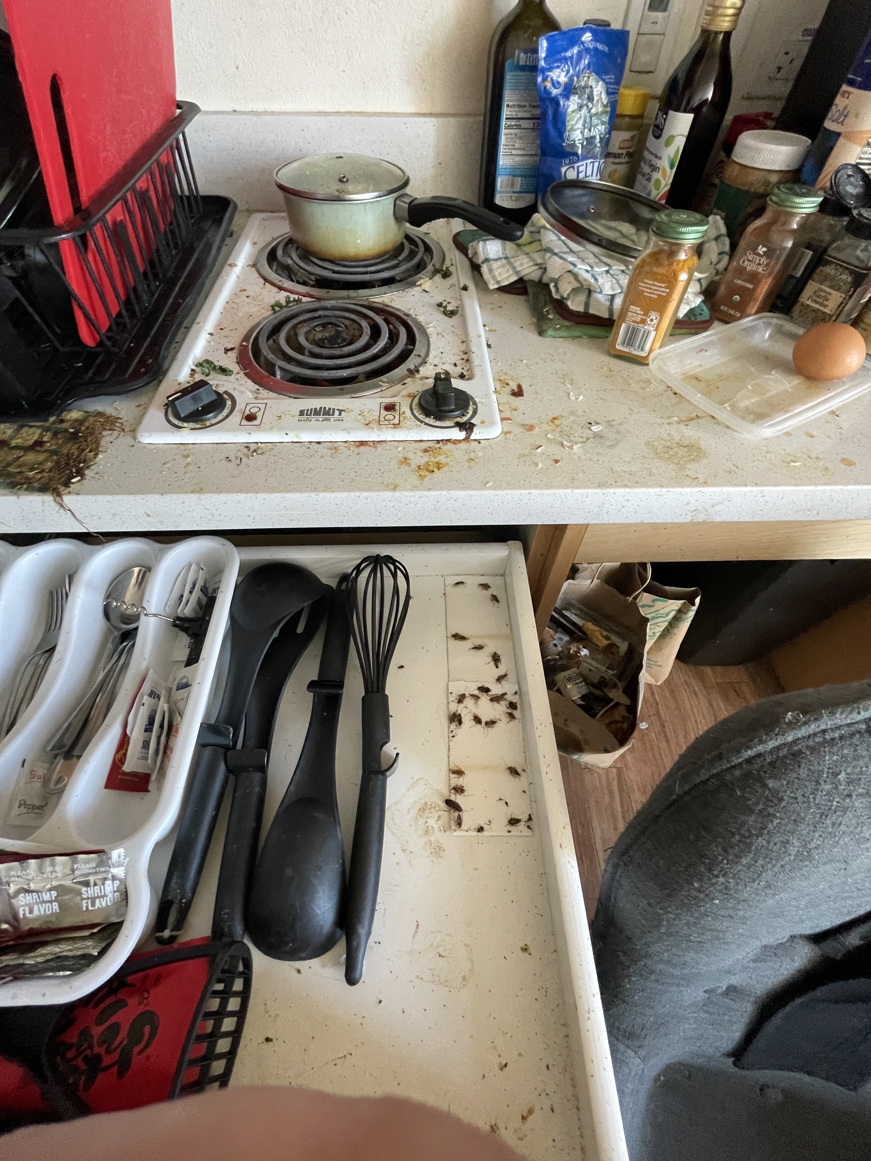 A cluttered kitchen counter with a stovetop, saucepans, spices, and an egg. Below, a messy drawer contains utensils and insect remnants.