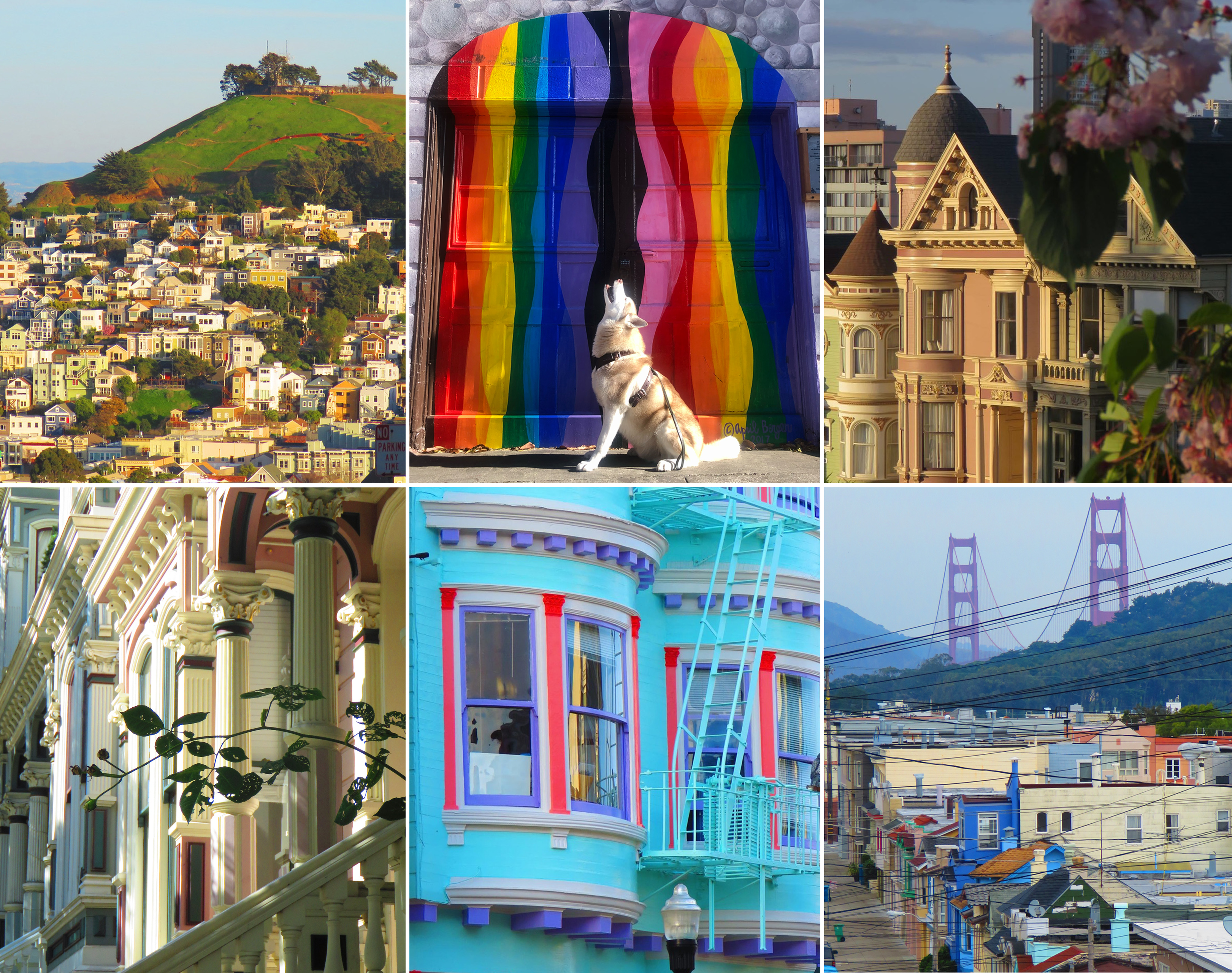 This image collage shows colorful San Francisco scenes: houses on hills, a rainbow mural with a dog, ornate Victorian homes, vibrant buildings, and the Golden Gate Bridge.