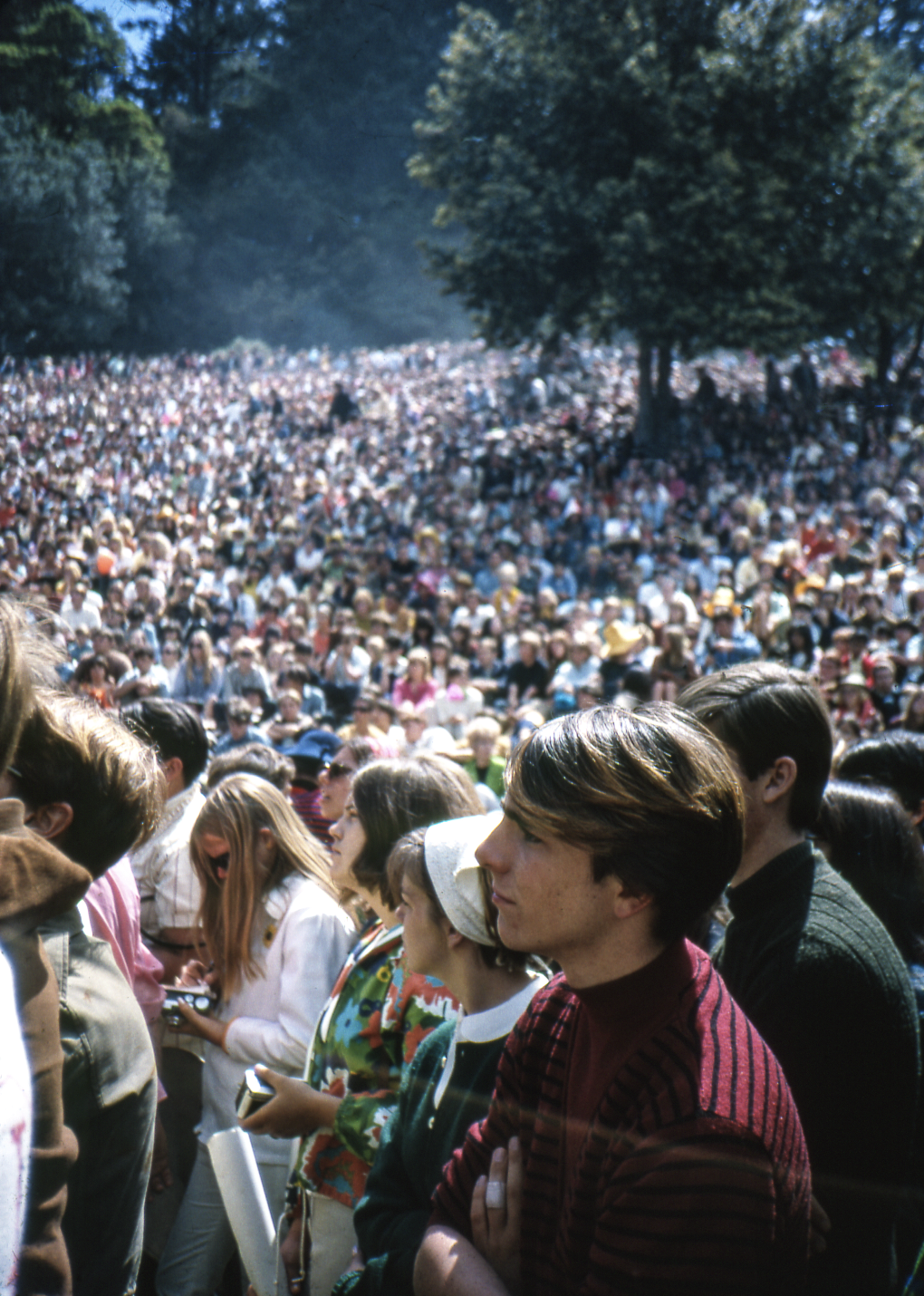 A large crowd gathers outside under tall trees. People in the foreground have varied clothing, including stripes and floral patterns, and appear focused.