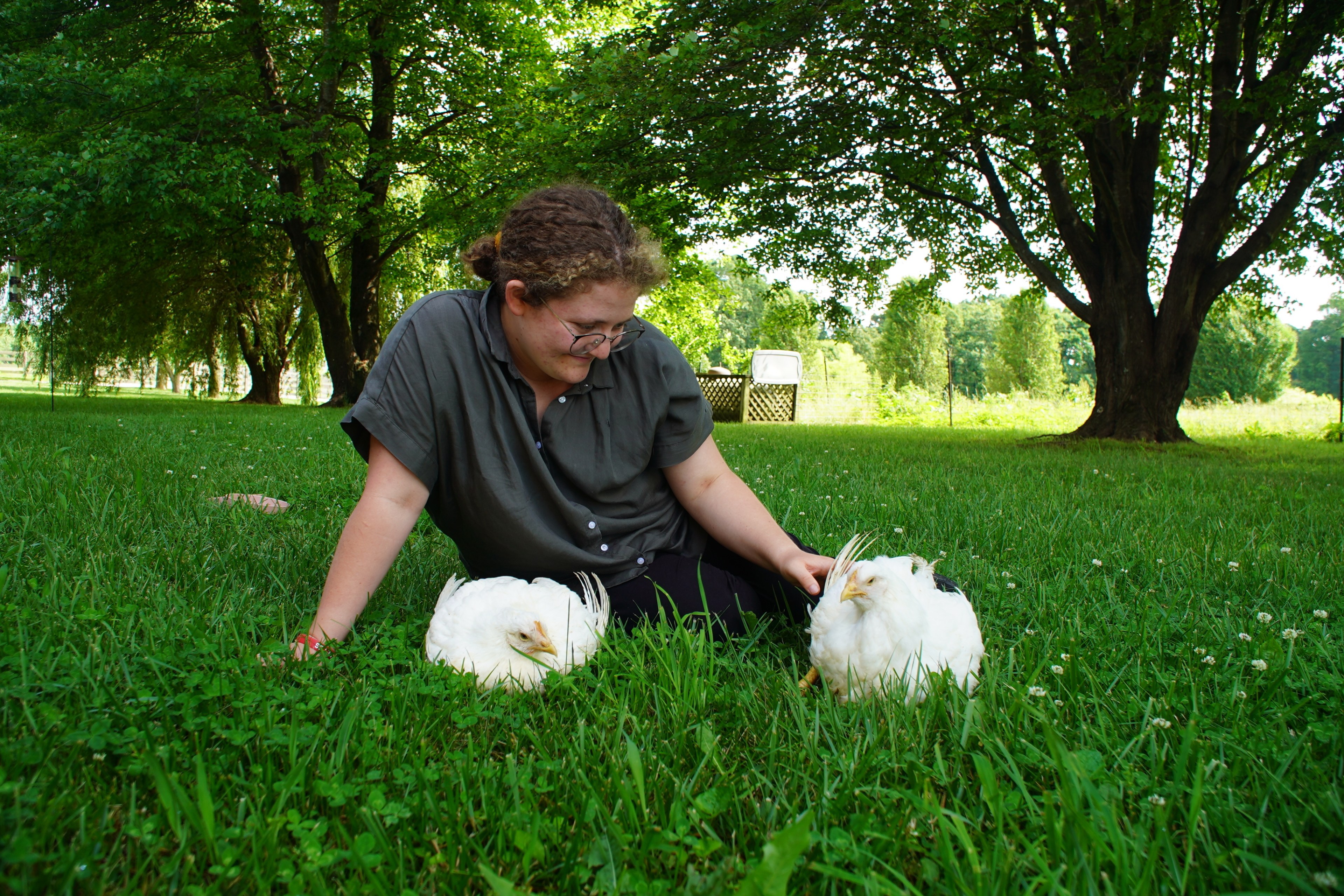 A person with glasses sits on the grass, smiling at two white chickens. They're surrounded by lush green trees in a sunny park.