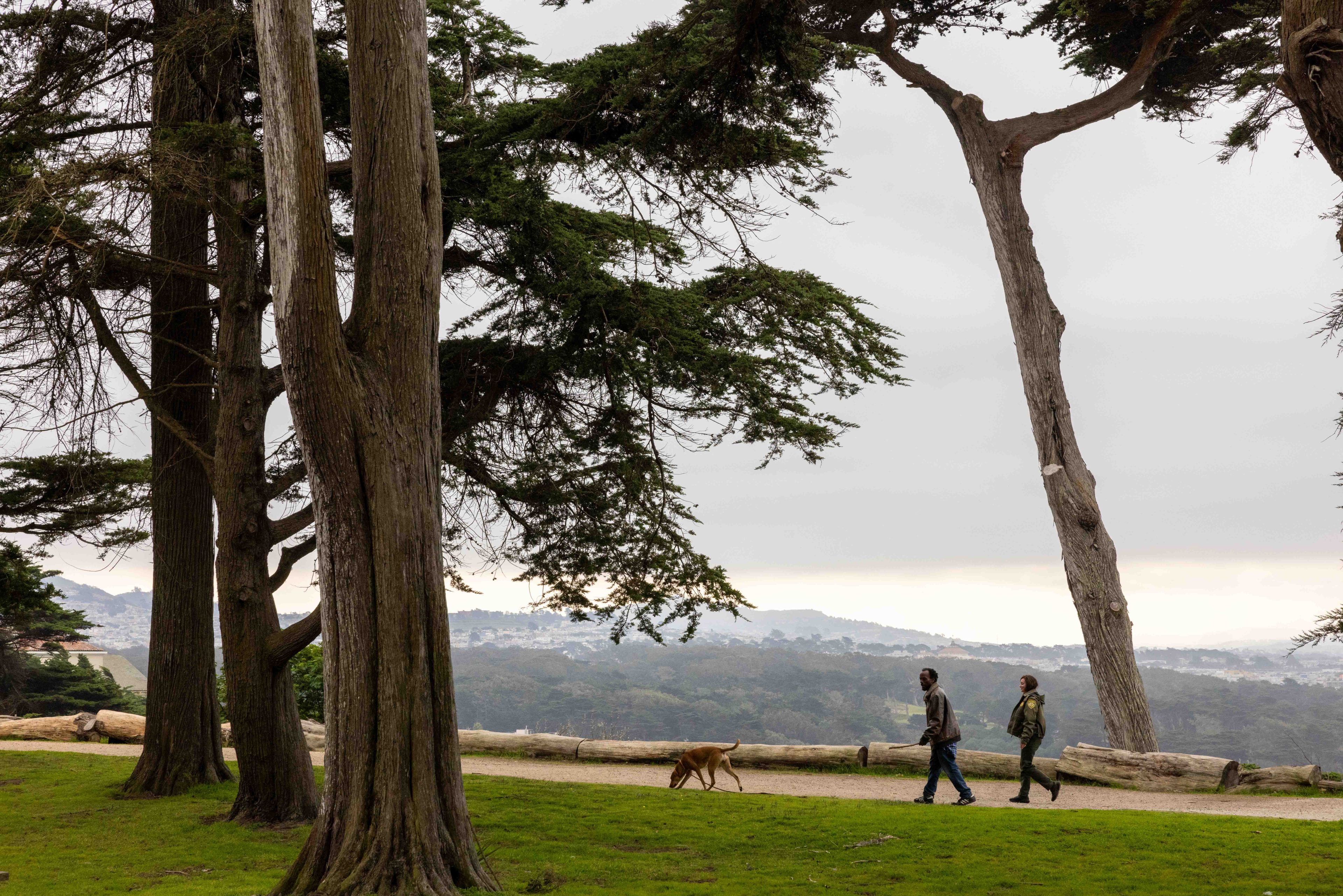 Two people walk along a path in a park, surrounded by tall trees. A dog walks beside them, and there are hills in the background under an overcast sky.