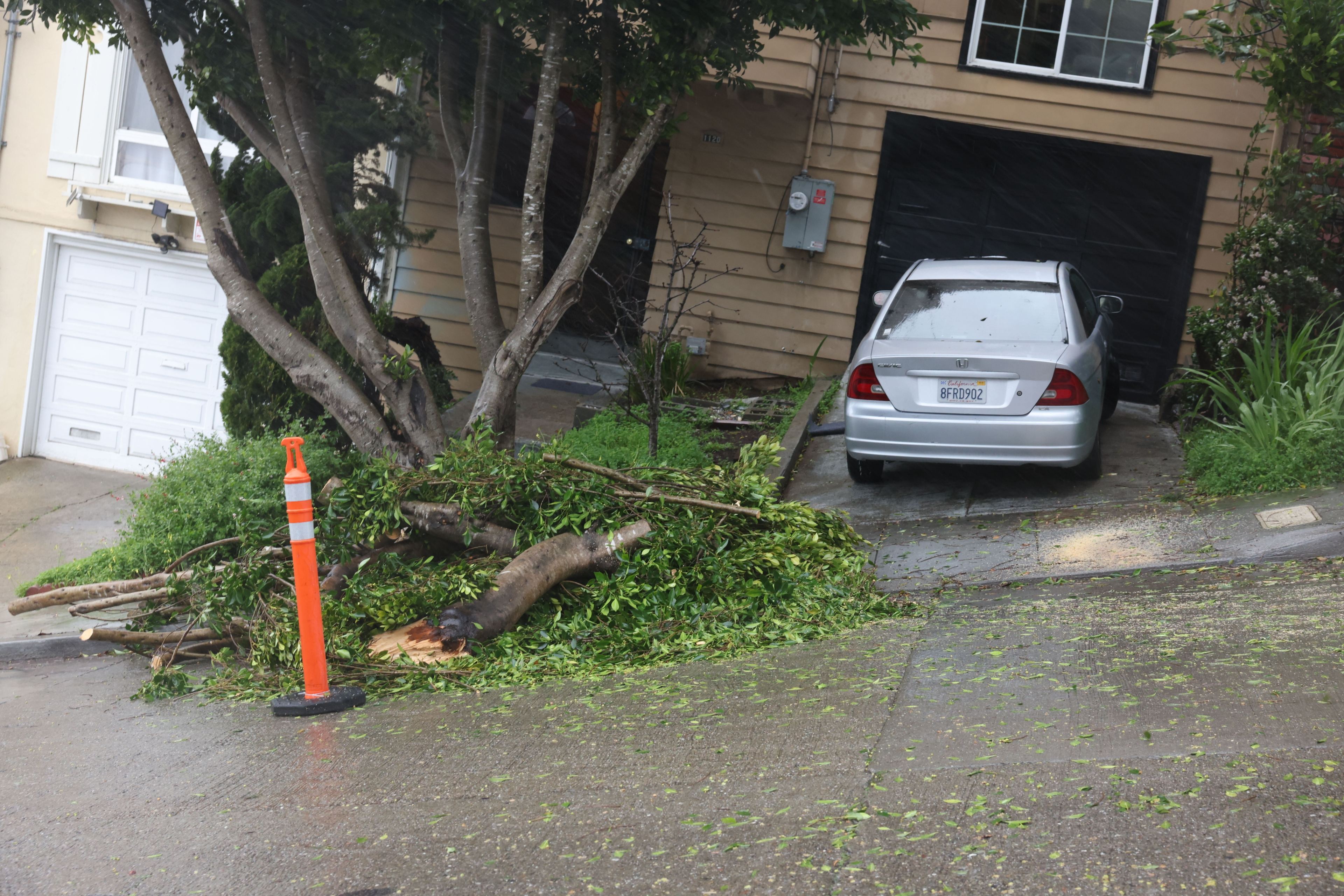 A silver car is parked in a sloped driveway beside a pile of fallen branches. A tree is near the driveway, and an orange traffic cone is on the street.