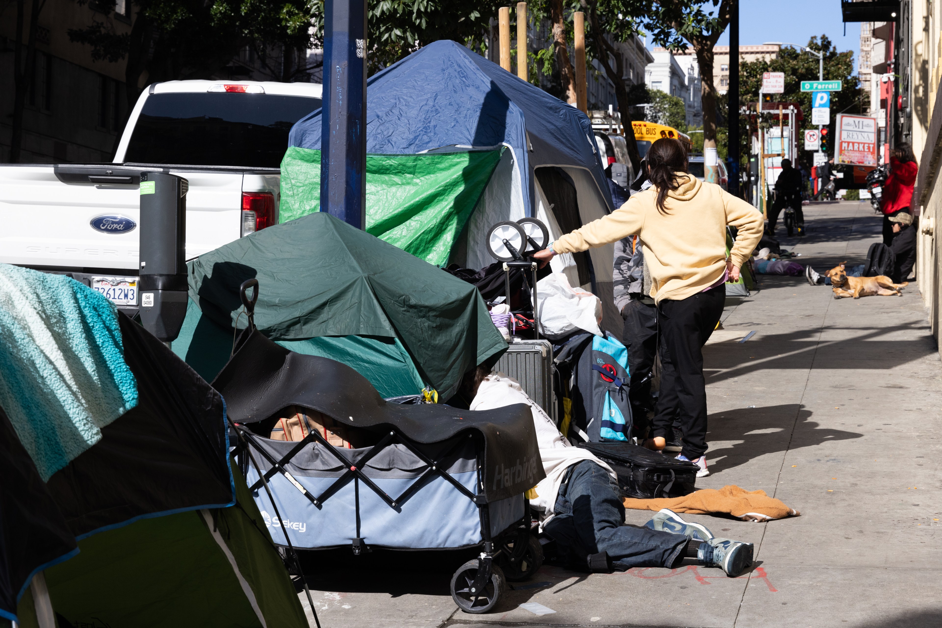 A street with tents and makeshift shelters lined up on the sidewalk. A person in a yellow sweater stands near a tent, and a dog lies on the pavement.