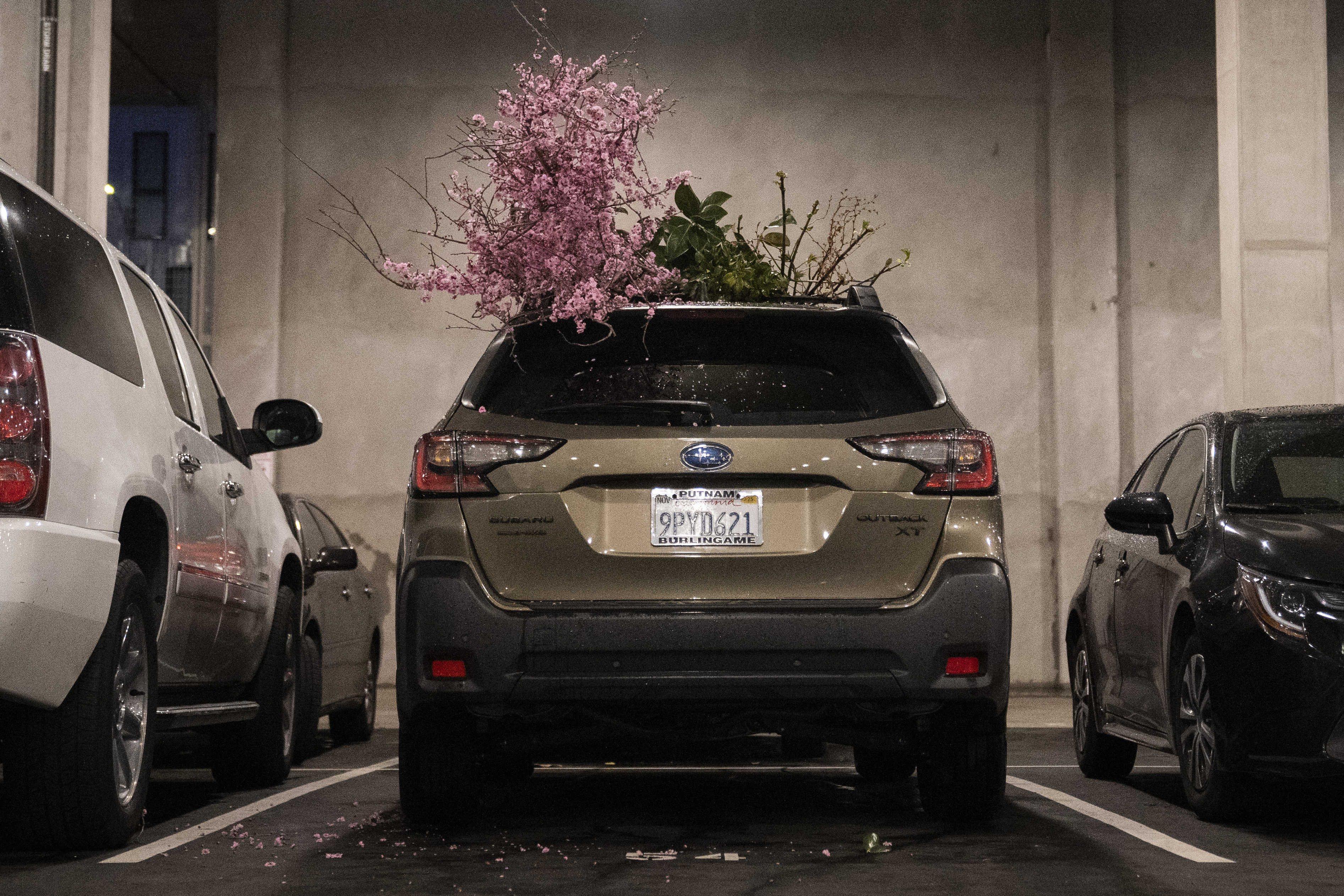 A car parked indoors has blooming pink flowers and green foliage emerging from its sunroof, contrasting with the surrounding cars in the dimly lit garage.