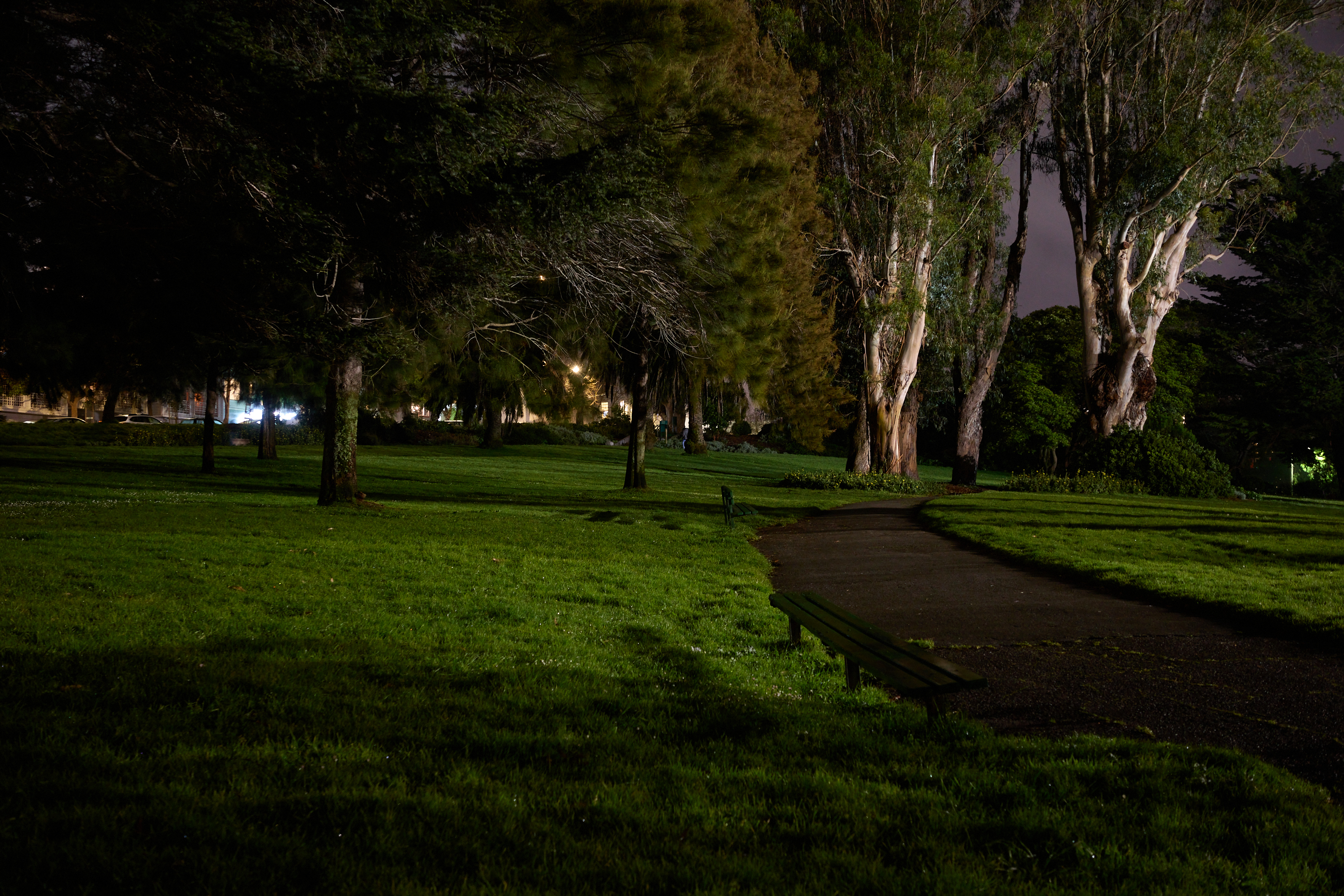 A dimly lit park at night features a winding path, lush grass, tall trees, and a wooden bench. Soft lights illuminate parts of the area.