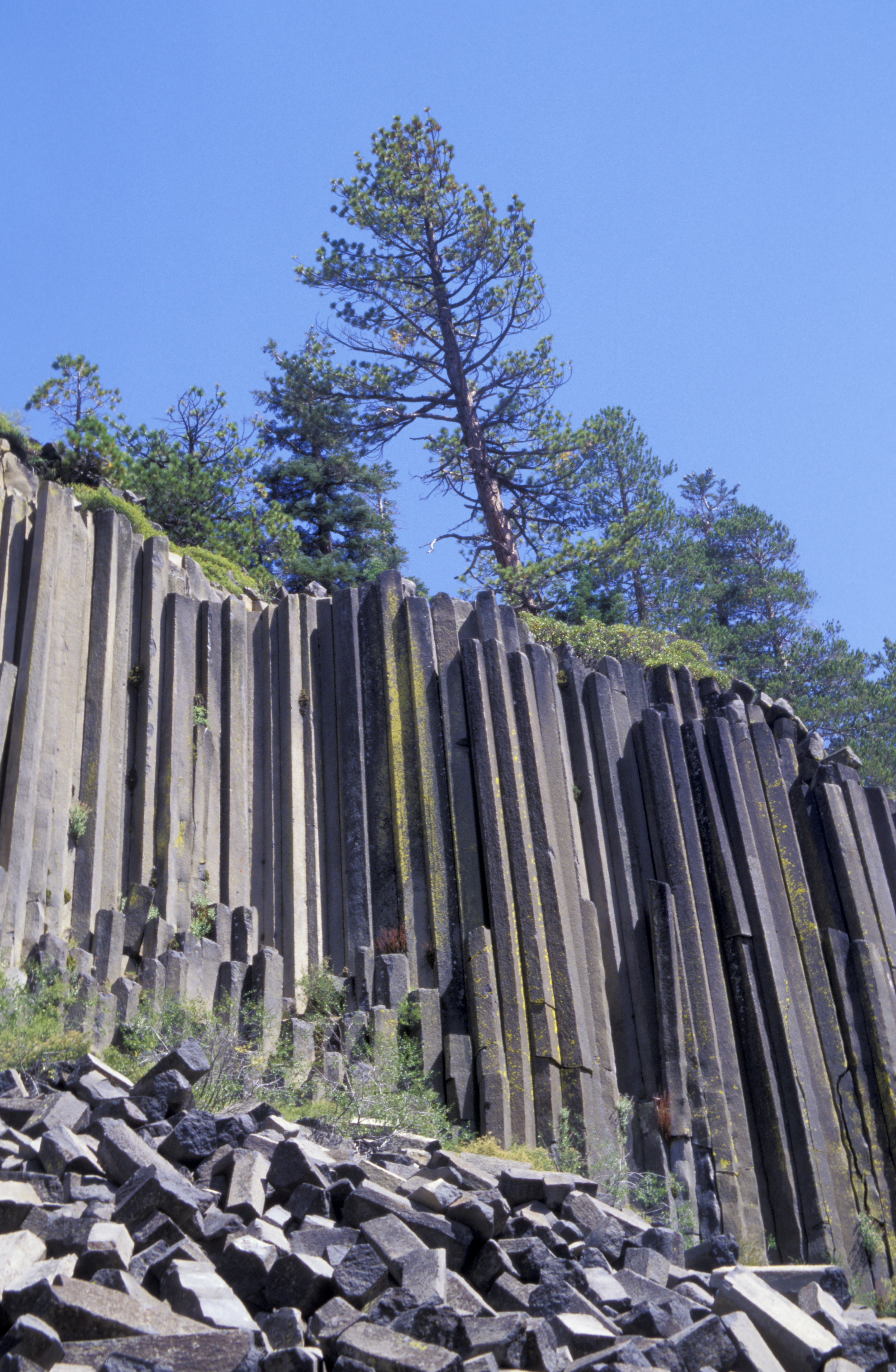 Tall, vertical basalt columns rise from the ground, with scattered rocks at the base. A few trees grow on top, set against a clear blue sky.