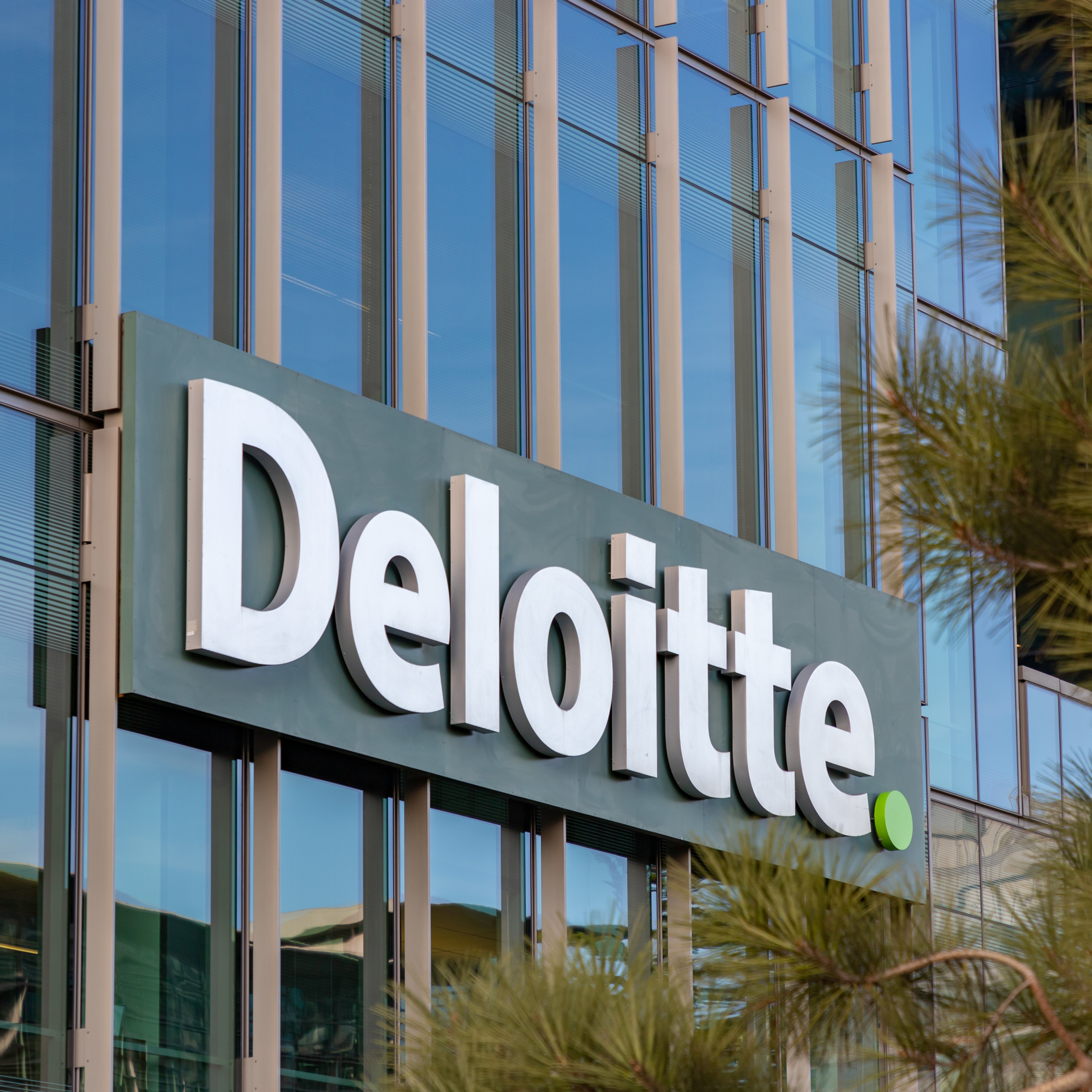 The image shows a modern glass building with the "Deloitte" logo prominently displayed in white letters. Pine branches are partially visible on the right.