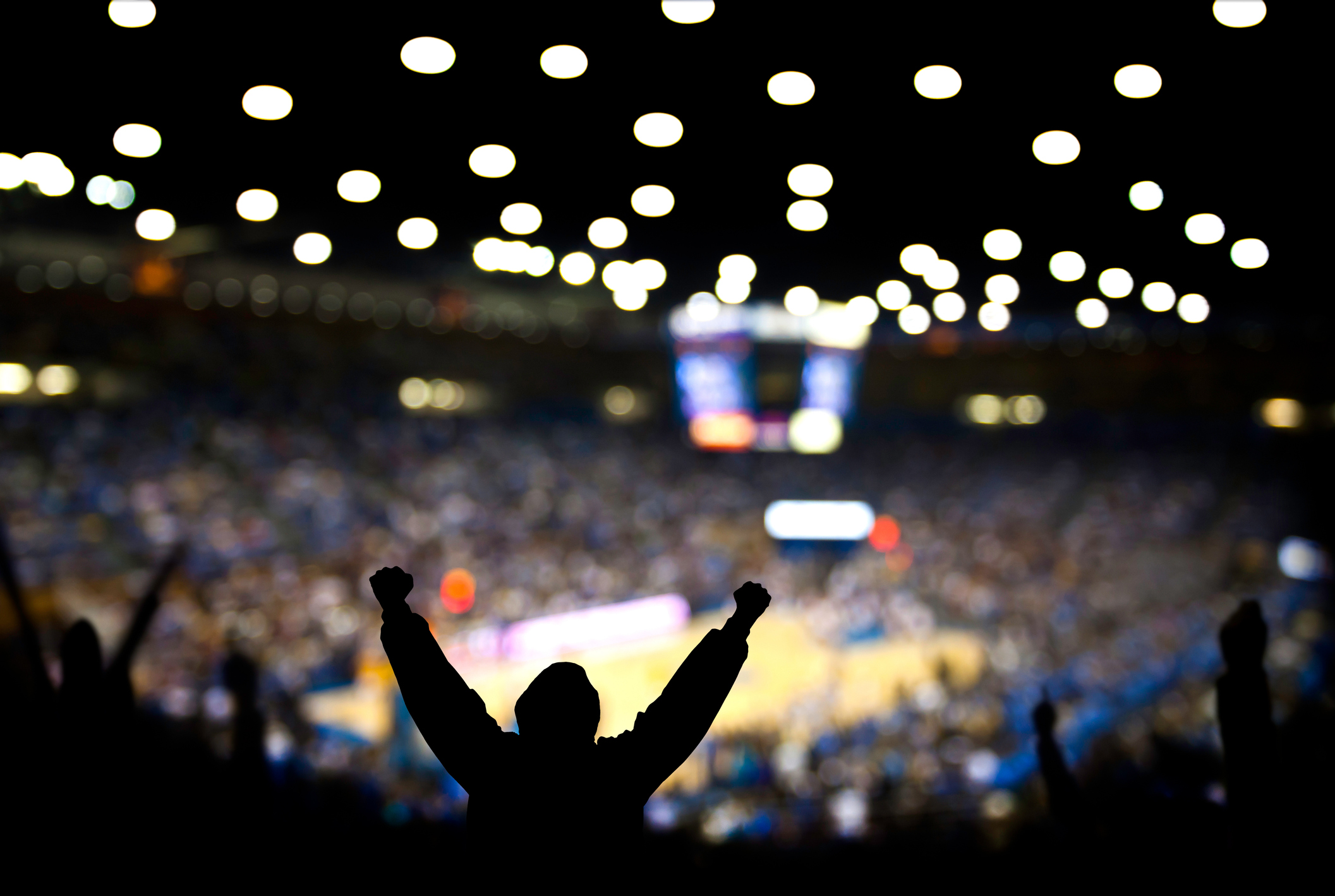 A silhouette of a cheering person is in the foreground, with a blurred, brightly lit indoor sports arena and crowd visible in the background.