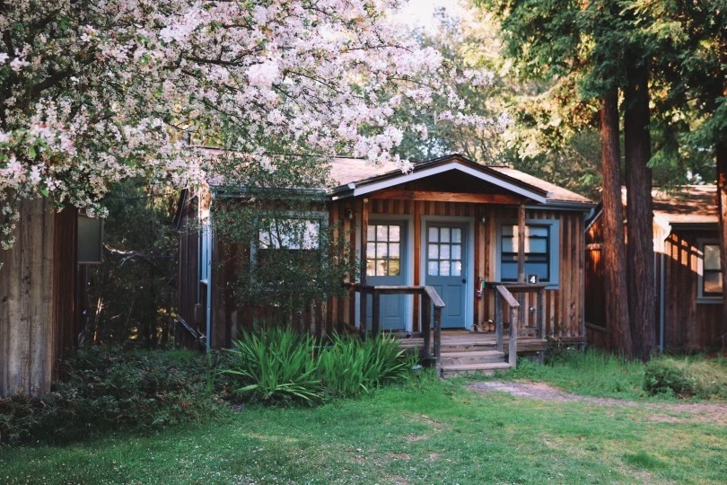 A cozy wooden cottage with blue doors sits surrounded by lush greenery and tall trees. A blooming tree with pink flowers frames the left side.