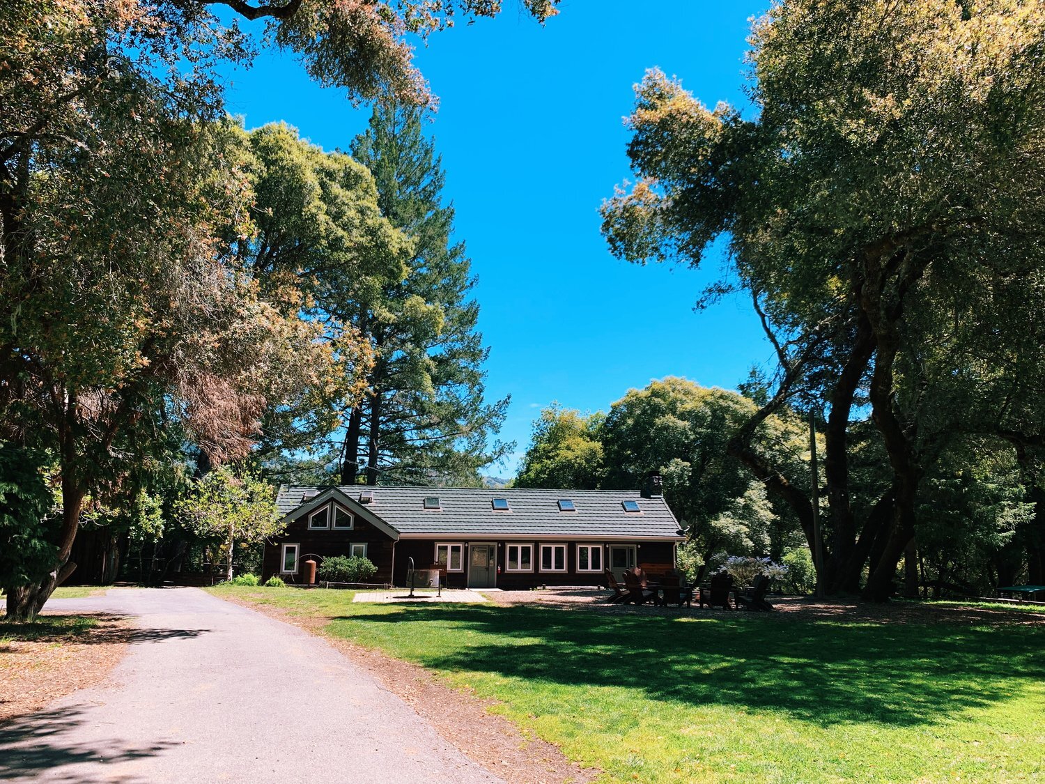 A small house with skylights is nestled among large trees under a bright blue sky, with a path and grassy lawn in the foreground.