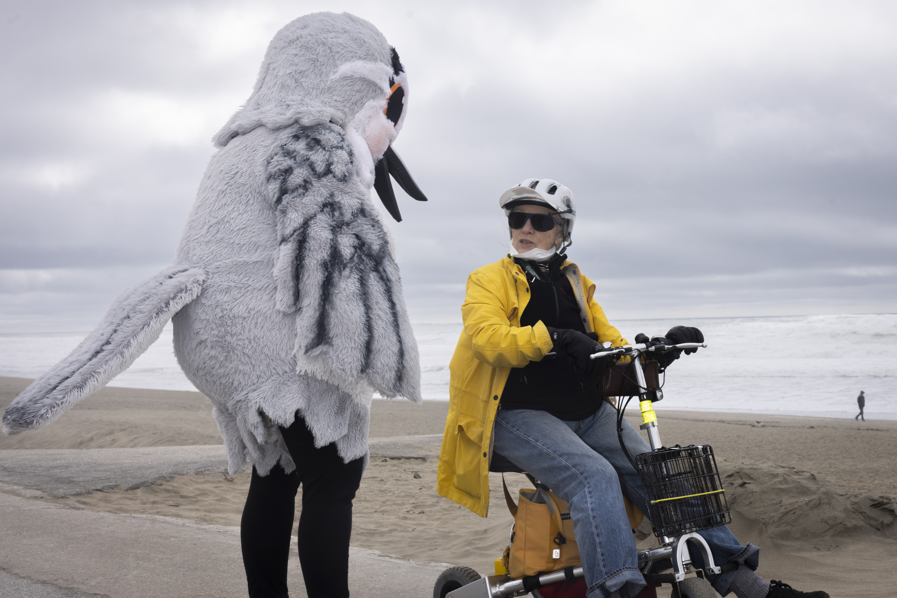 A person in a fluffy bird costume stands on a beach facing another person wearing a yellow jacket and helmet, who is sitting on a mobility scooter.