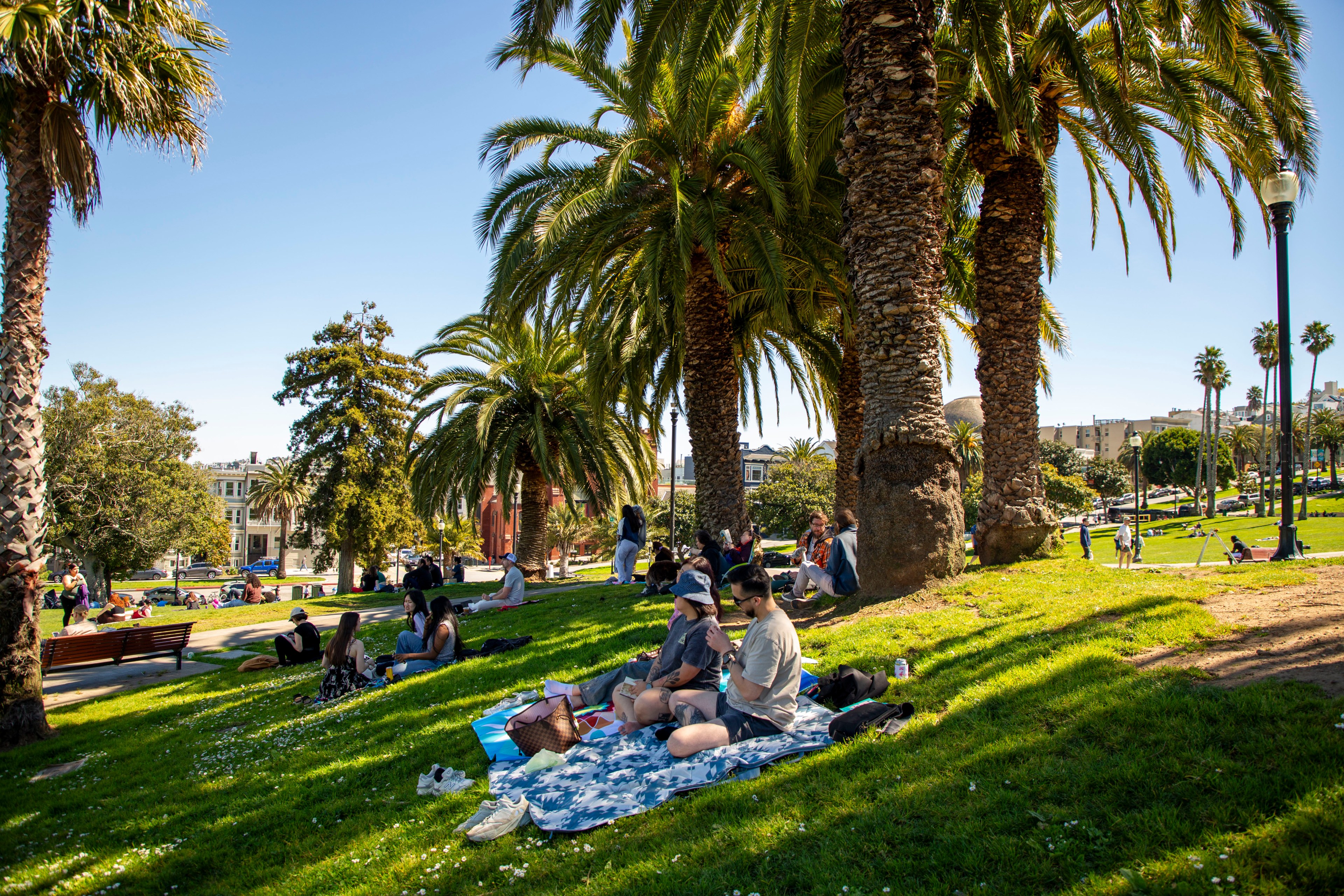 People are relaxing on a grassy park under tall palm trees. Some are sitting on blankets, while others sit on benches. It’s a sunny day with a clear blue sky.