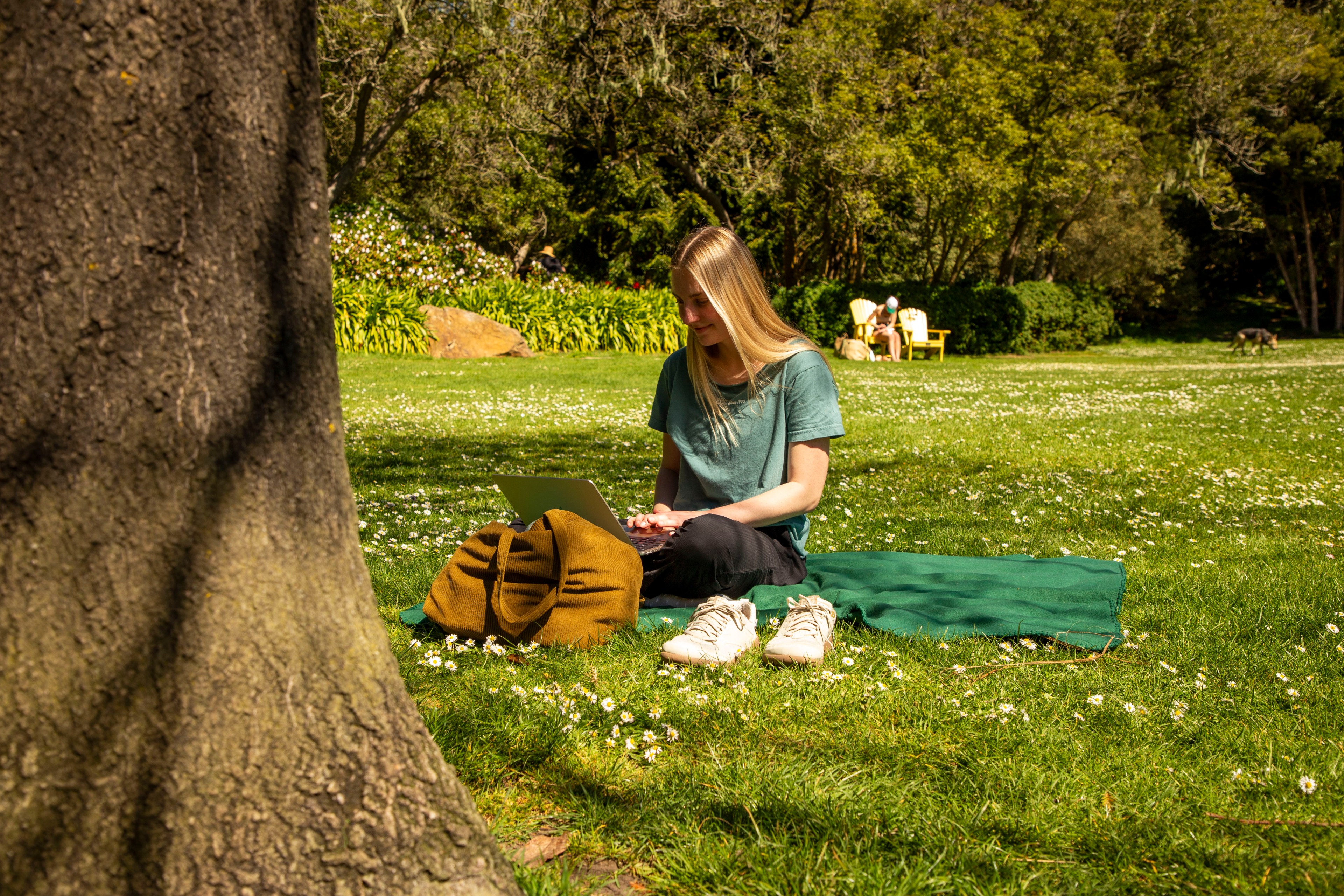 A person is sitting on a green mat in a grassy park, working on a laptop. There's a brown bag and shoes beside them. Trees and distant people are in the background.