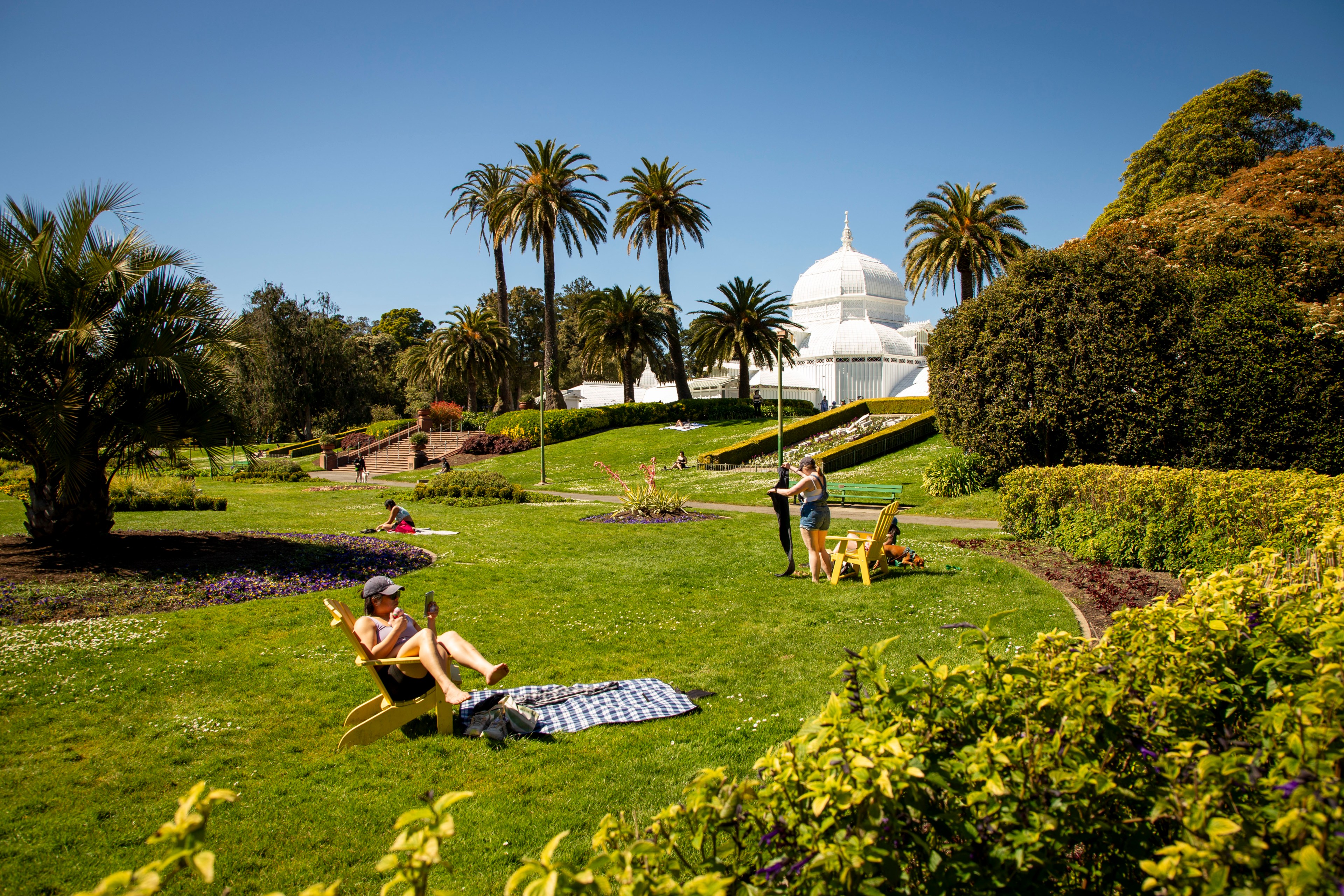 People relax on a sunny park lawn with palm trees and vibrant green grass. A white domed building is in the background, surrounded by manicured gardens.