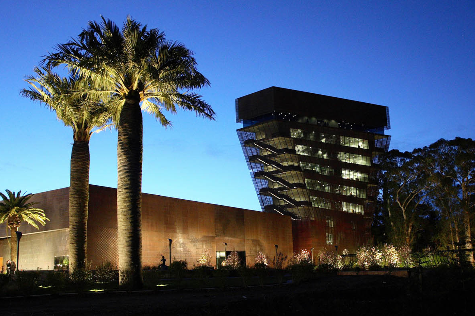 A modern, illuminated building with a unique design stands beside tall palm trees against a twilight sky, surrounded by bushes and trees.