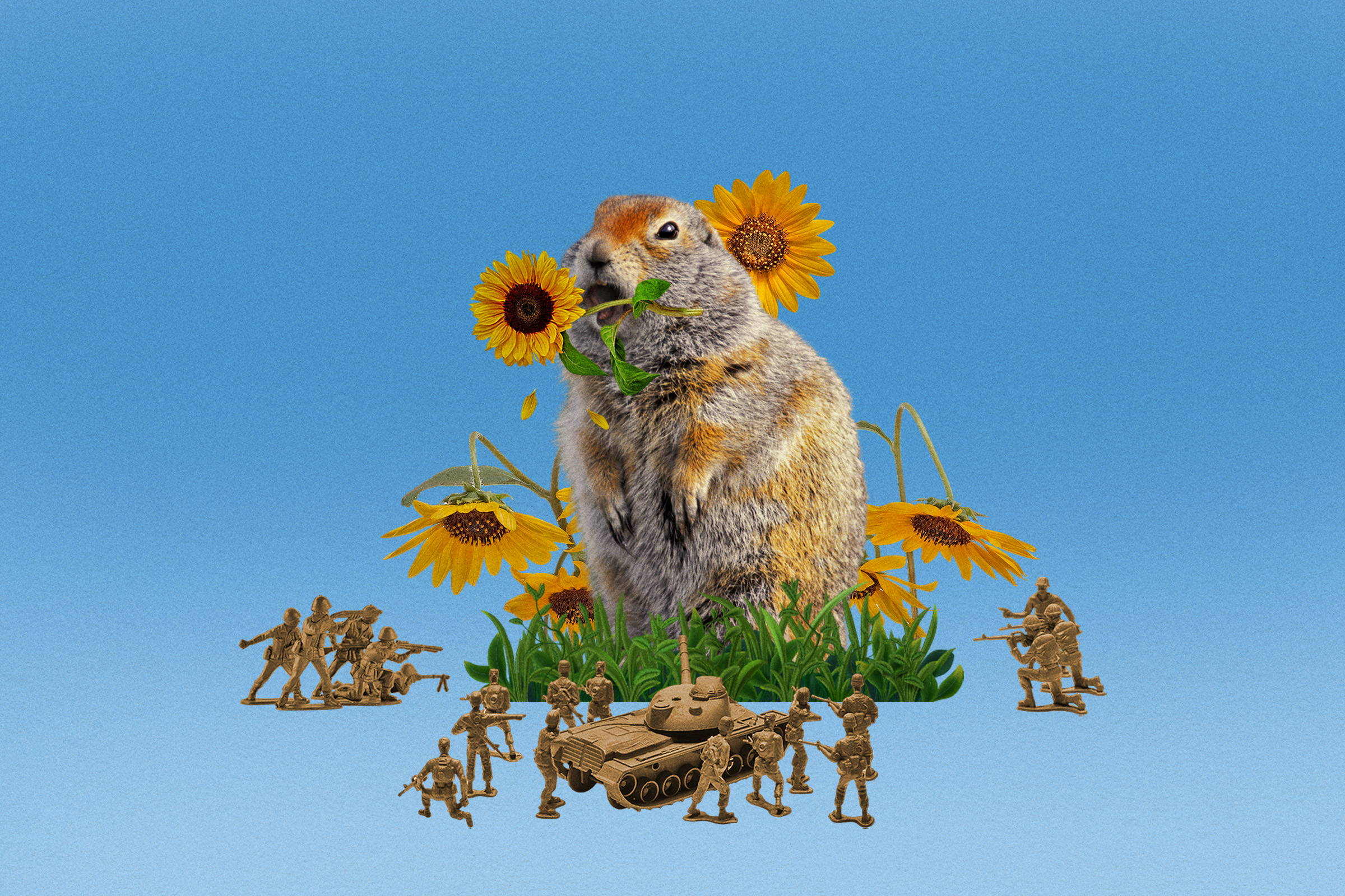 Despite their cuteness, gophers are the mortal enemies of gardeners in the city.