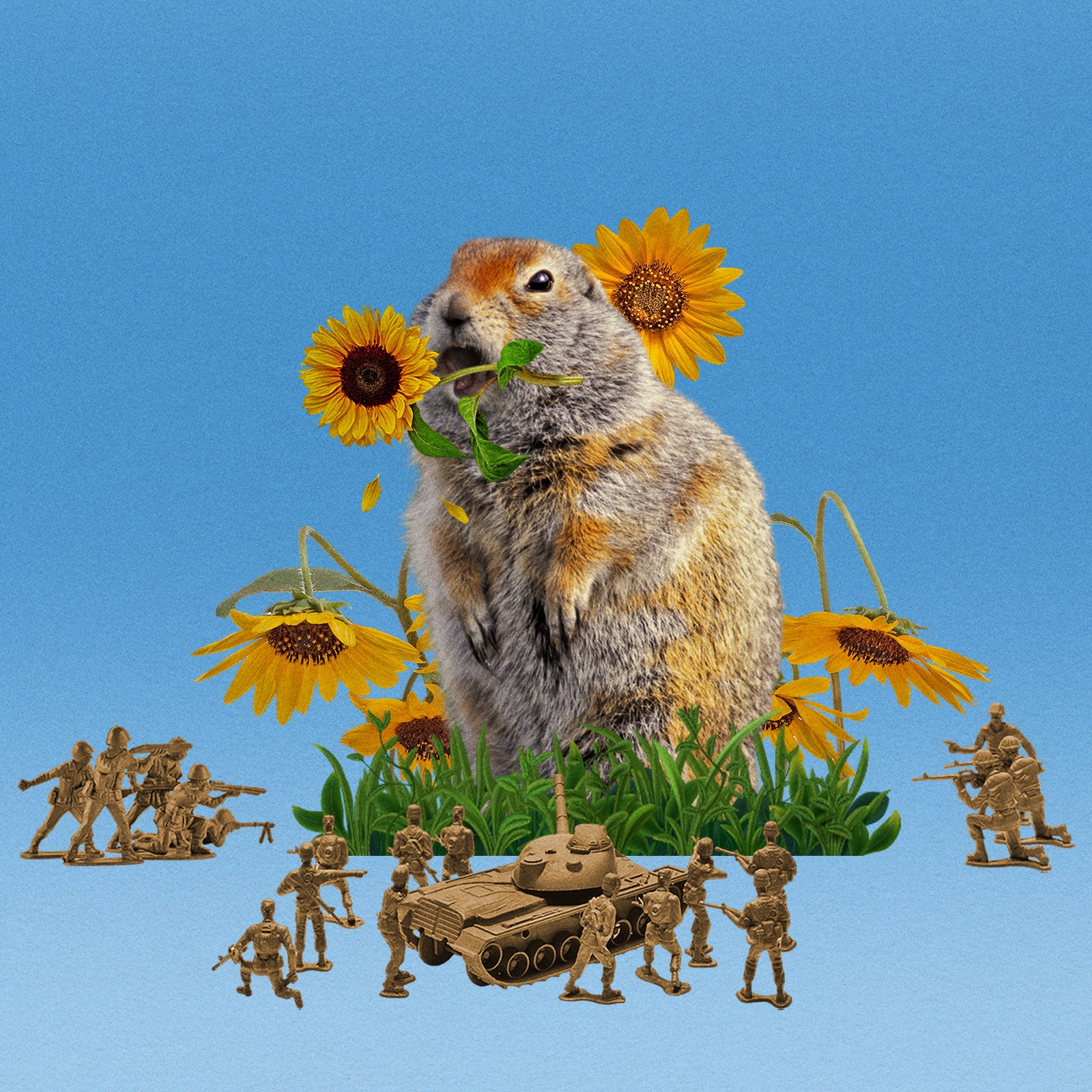 Despite their cuteness, gophers are the mortal enemies of gardeners in the city.