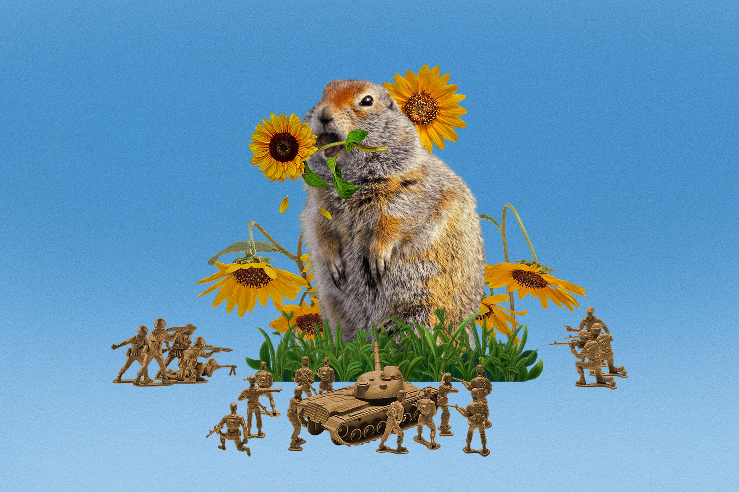 Despite their cuteness, gophers are the mortal enemies of gardeners in the city.