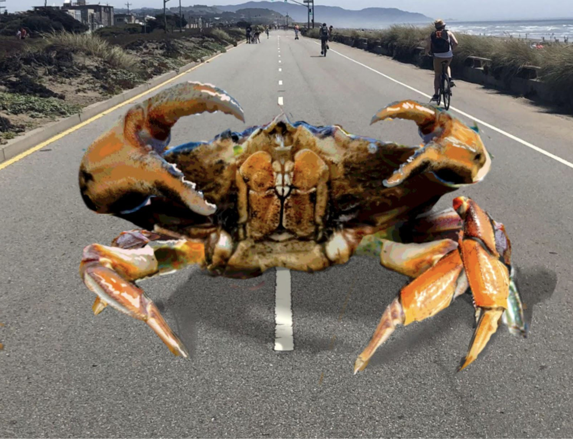 A giant crab is positioned on a coastal road, appearing cartoonish. Cyclists ride nearby, and the ocean is visible in the background.