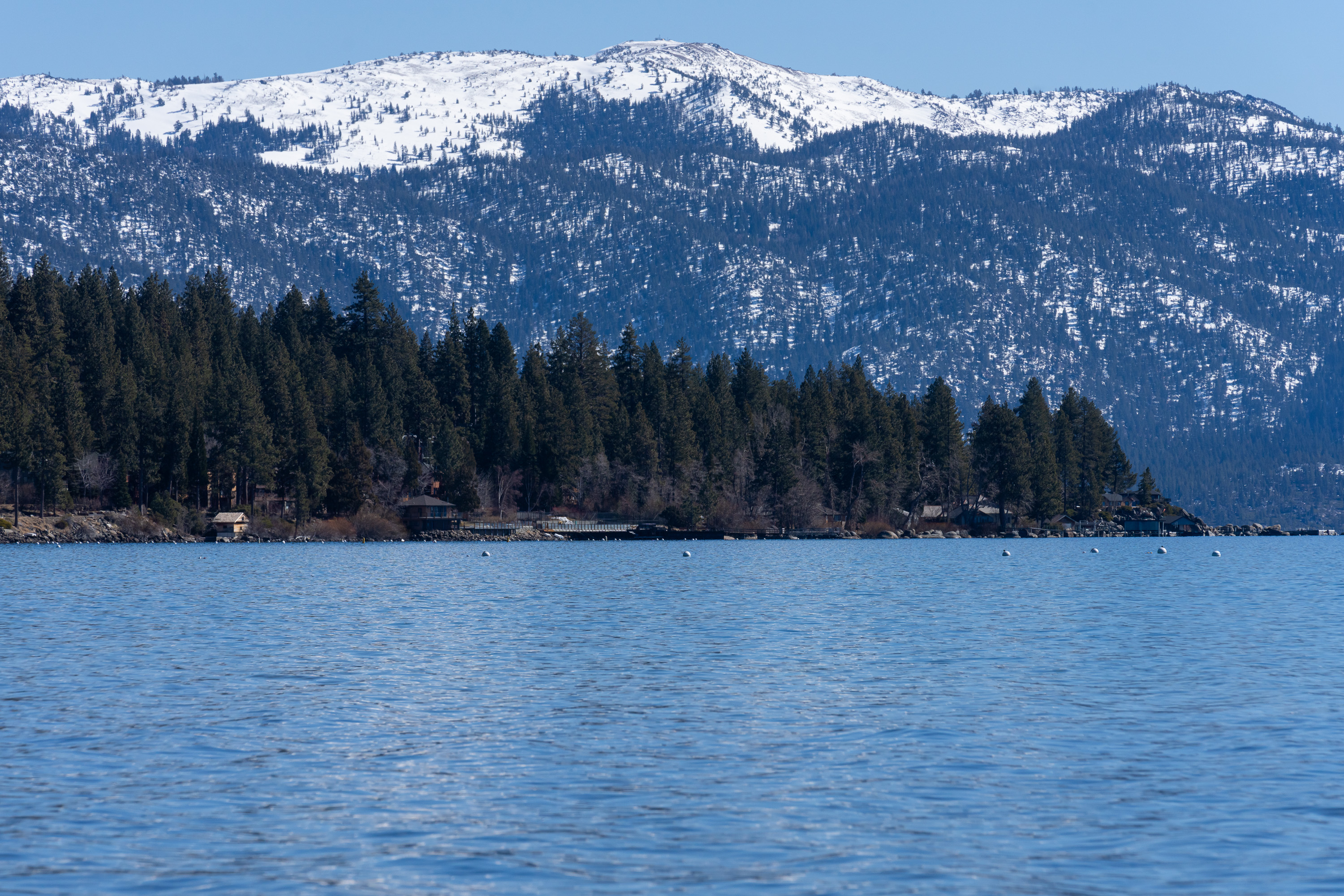 A tranquil lake with blue water is bordered by a dense forest of tall pine trees. Snow-capped mountains rise in the background under a clear blue sky.