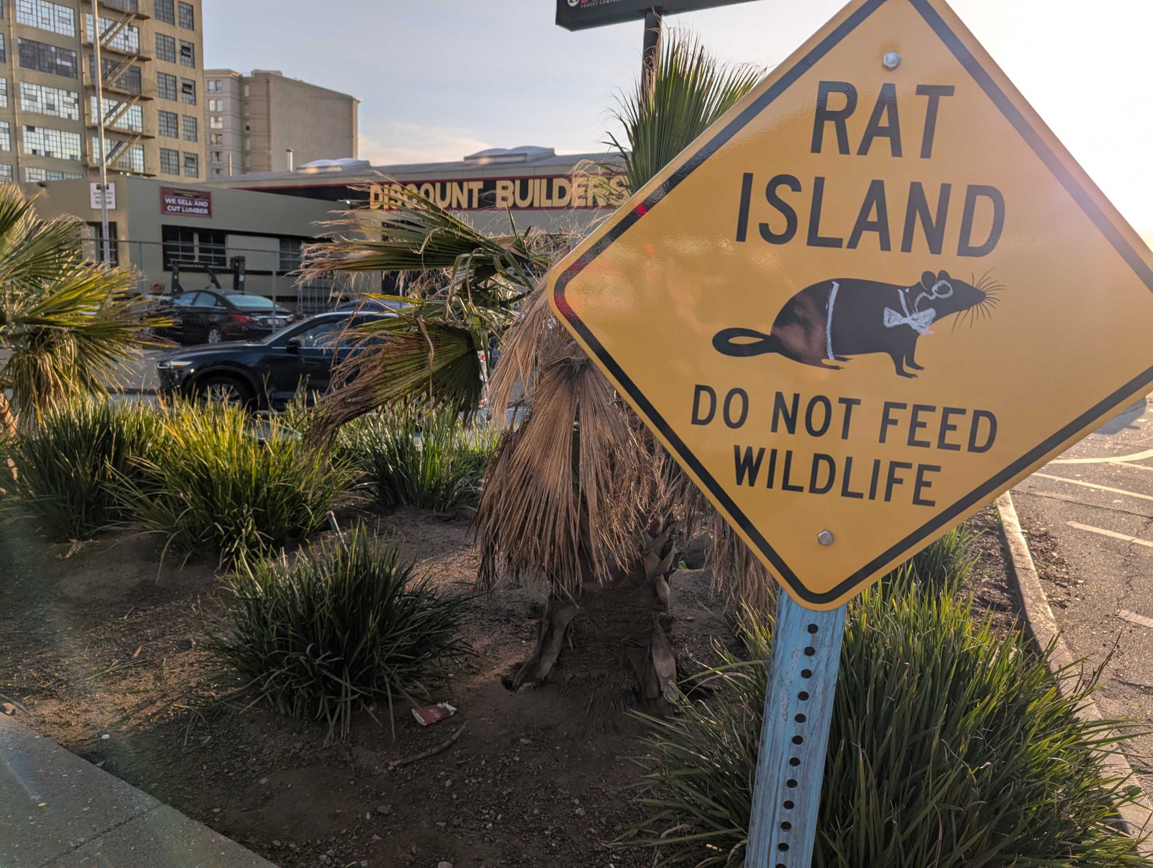 A yellow sign warns "Rat Island: Do Not Feed Wildlife" with a cartoon rat. It's set in front of a building and surrounded by palm plants and parked cars.