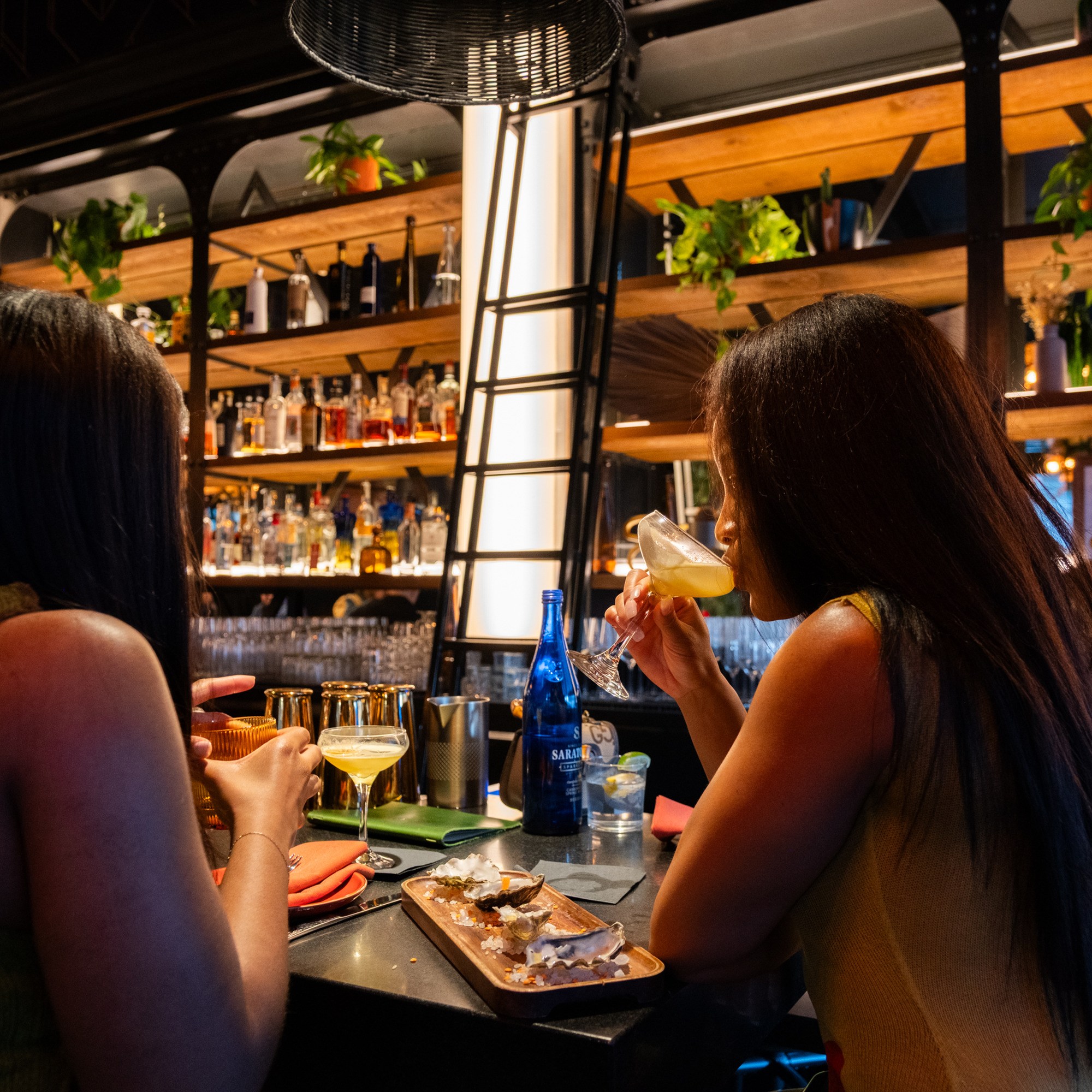 Two people sit at a bar with shelves of liquor and plants behind them. They are enjoying cocktails and sharing a small plate of food in a dimly lit setting.