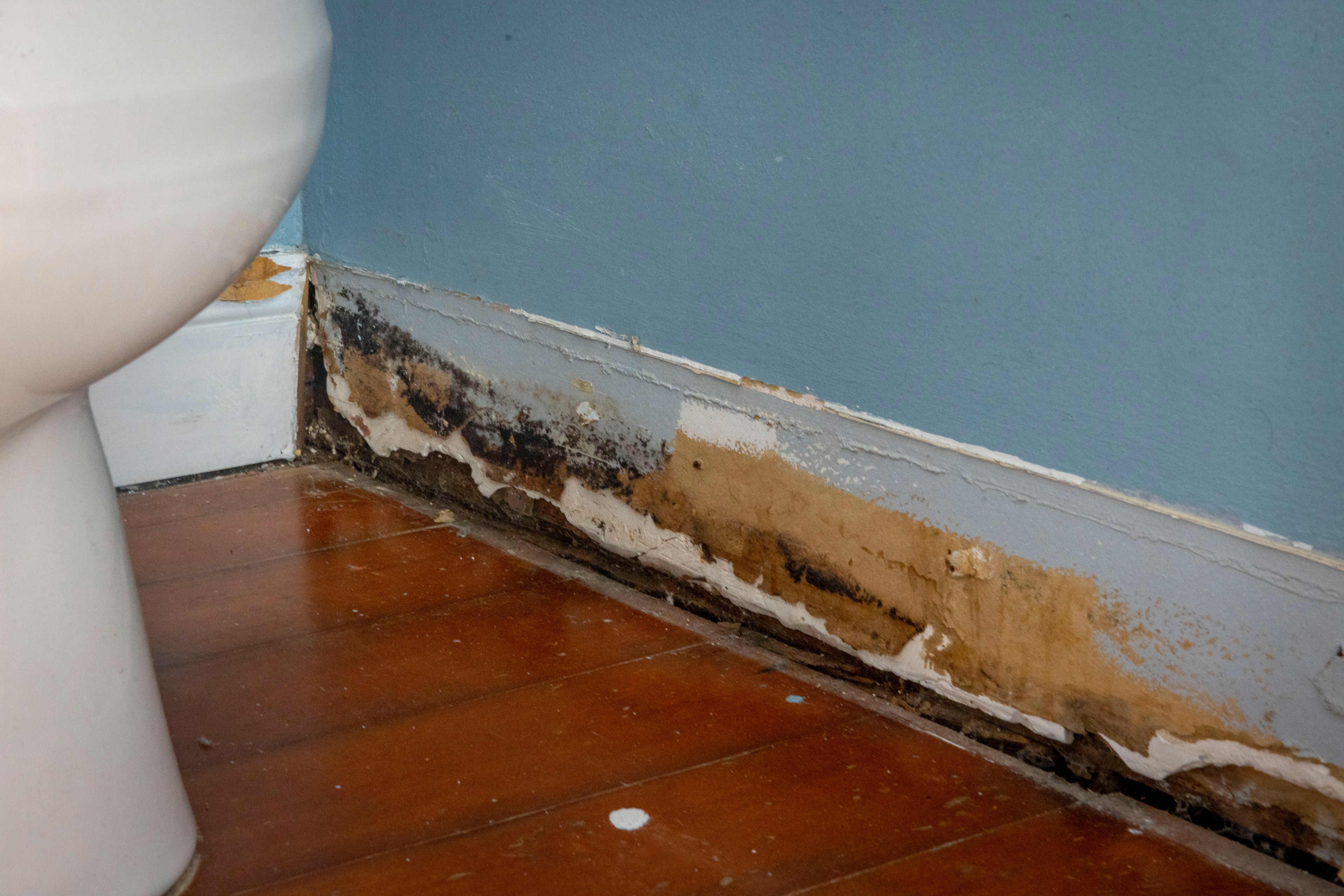 Mold and peeled paint below where baseboards have been removed in a damaged bathroom.