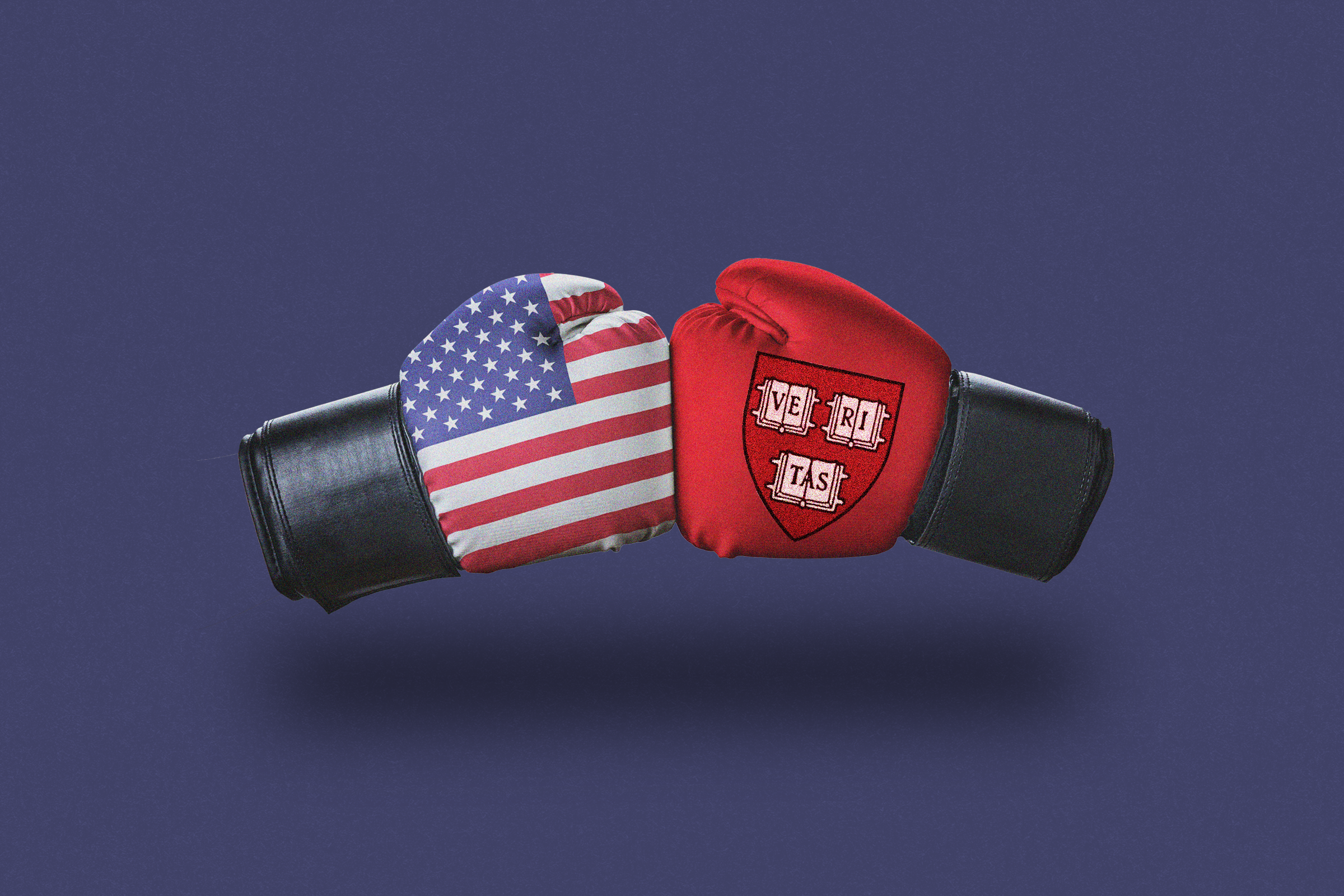 Two boxing gloves face each other: one with an American flag design, the other red with a "VERITAS" crest. Both gloves appear poised to clash.
