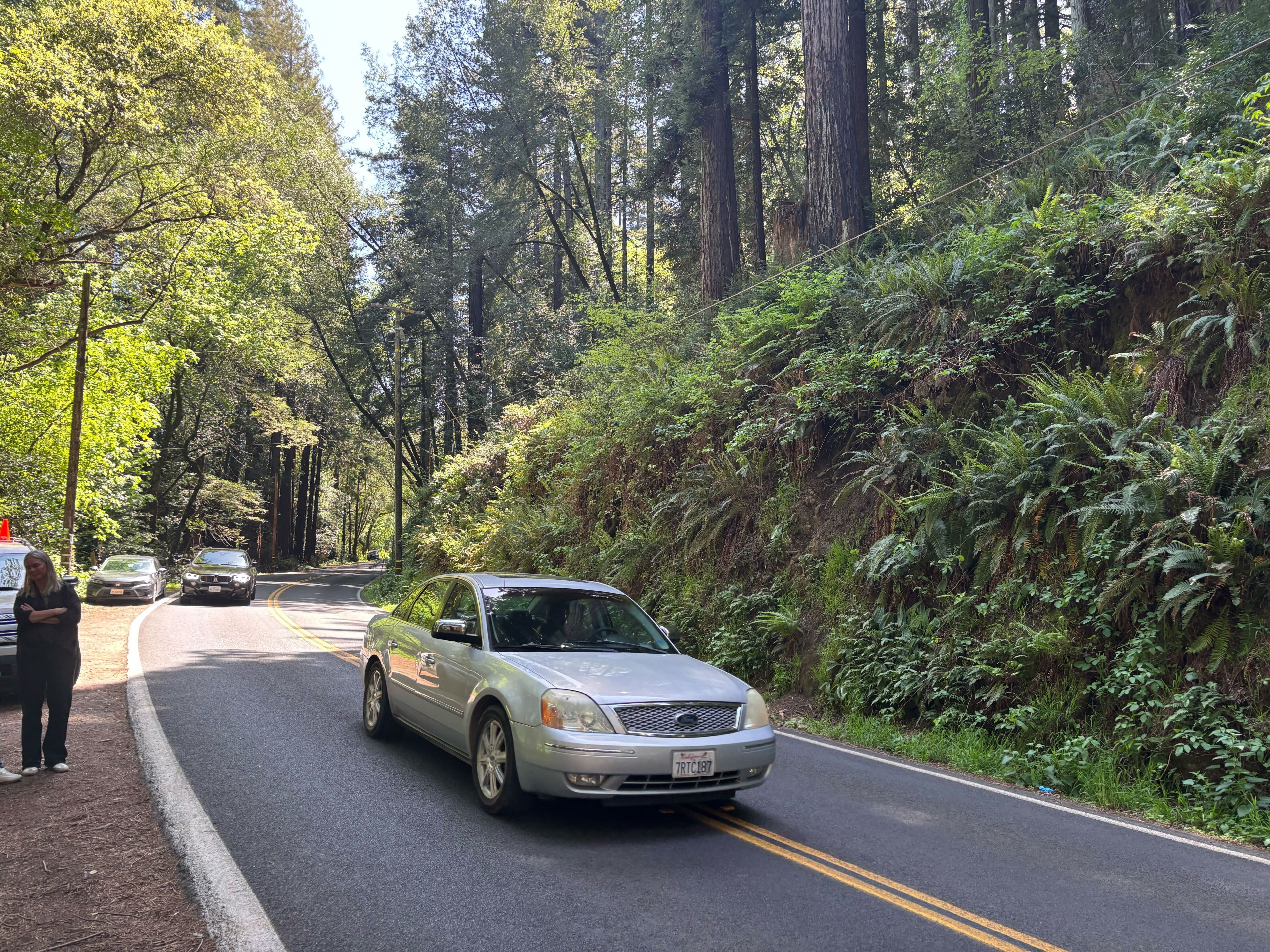 A silver car drives on a winding, forested road with tall trees and ferns. Another car and a person stand roadside, surrounded by lush greenery.