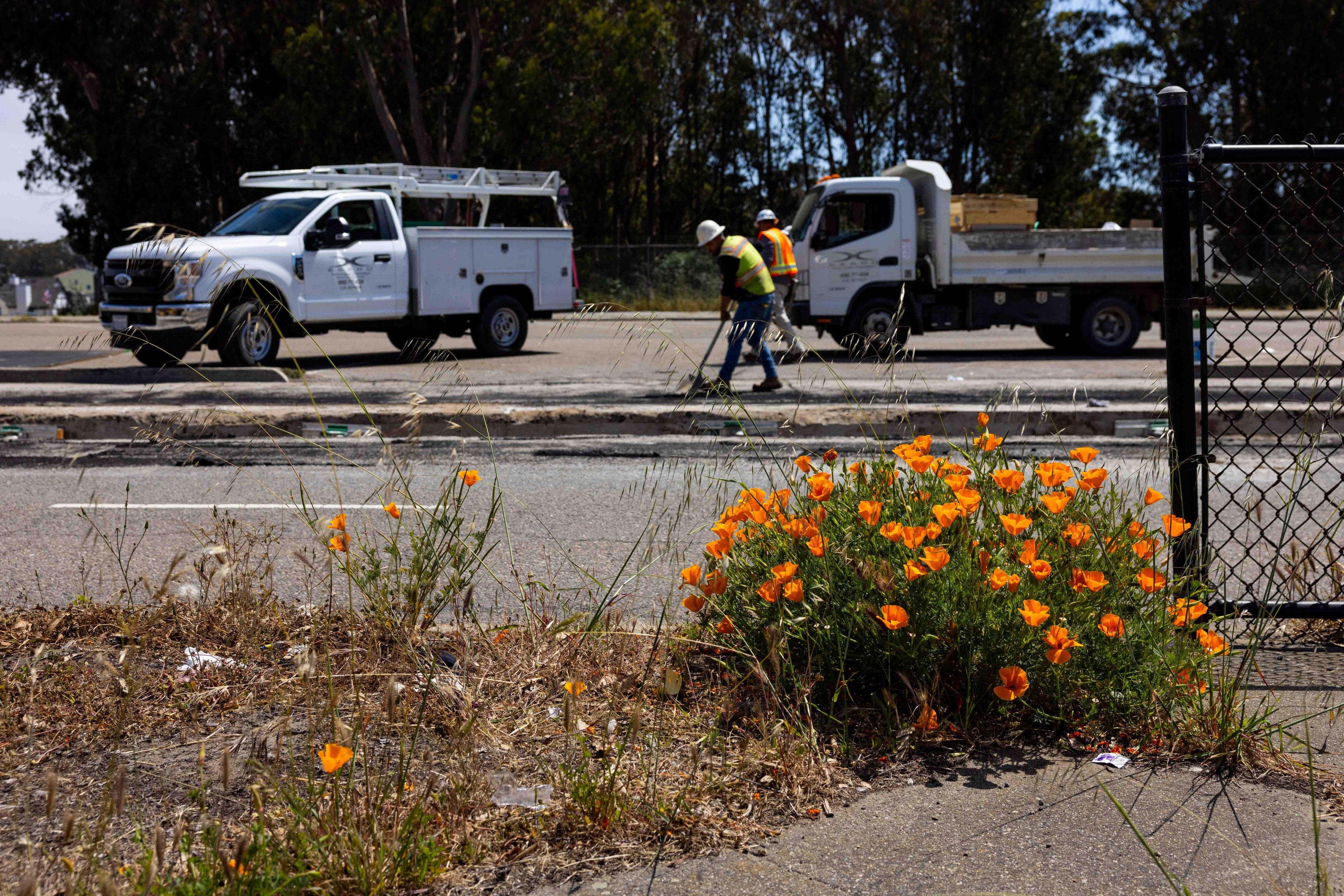 An orange flower bush grows by the roadside, with two trucks and workers in safety vests and helmets in the background.
