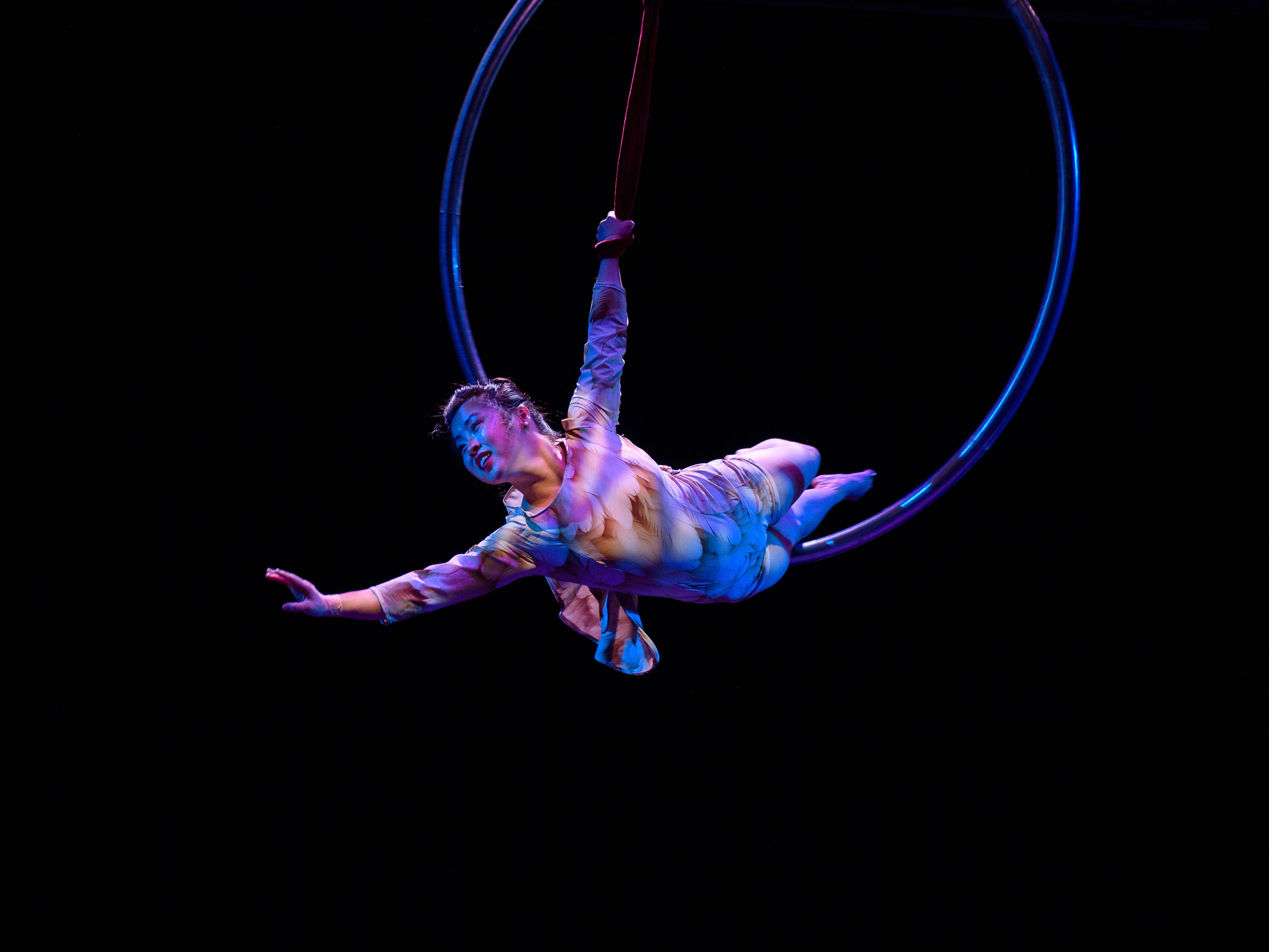 A performer is in mid-air, suspended in a hoop, wearing a colorful costume. The lighting casts purple and blue hues, emphasizing their graceful pose.